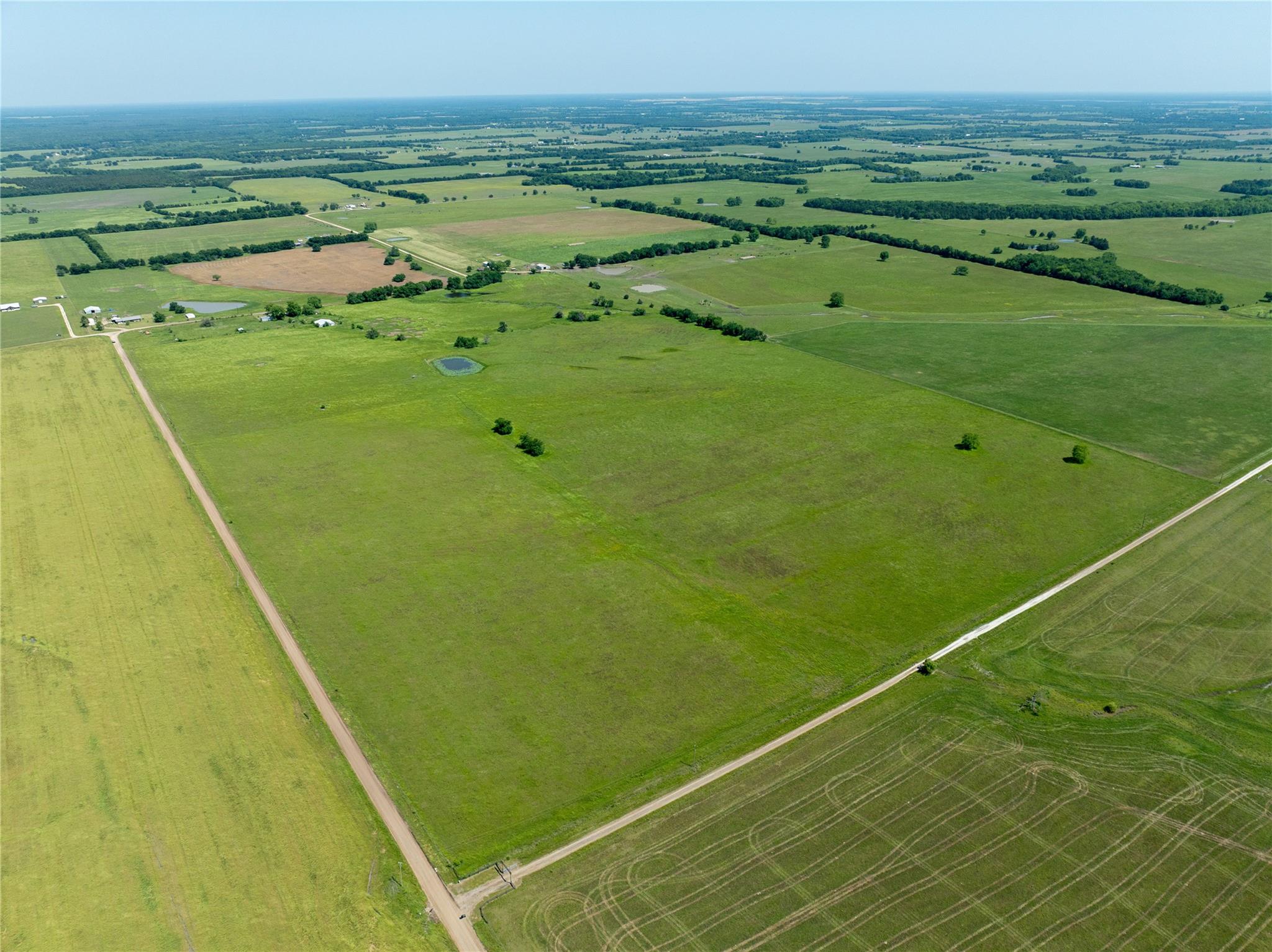 Blossom, Texas, 75416, United States, ,Residential,For Sale,1863967