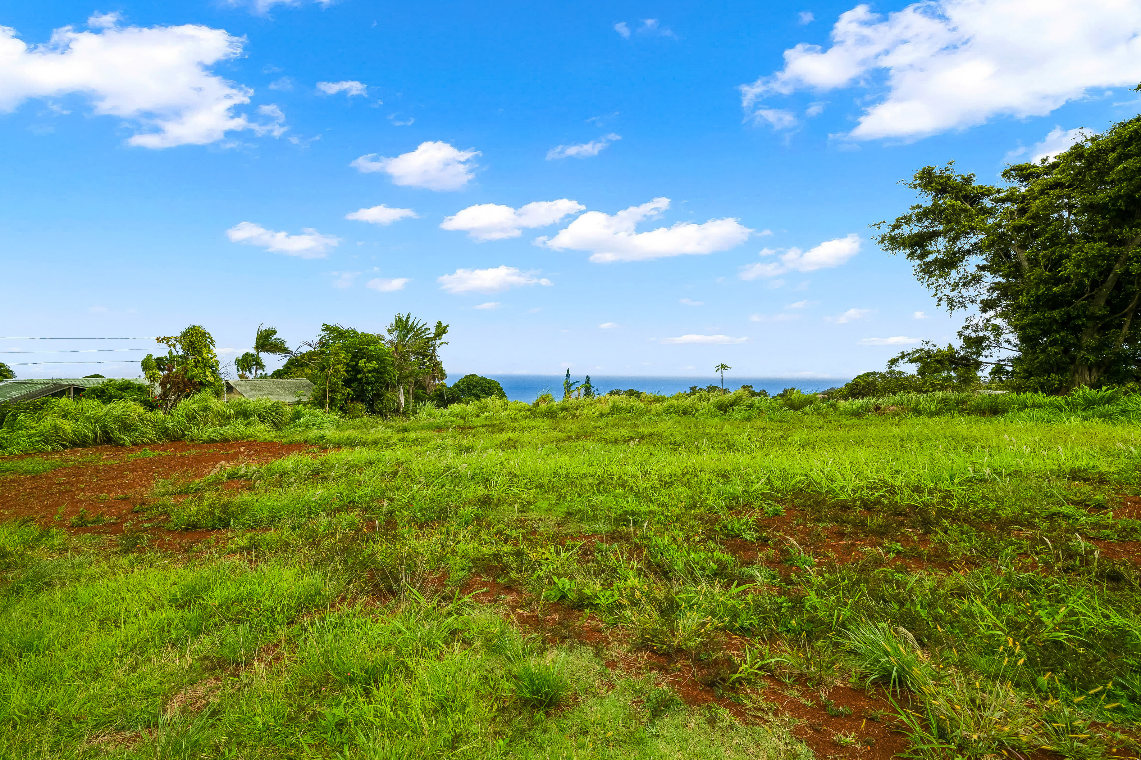  3961 Papalina Rd, Kalaheo, HI, 96741 - 物件實景