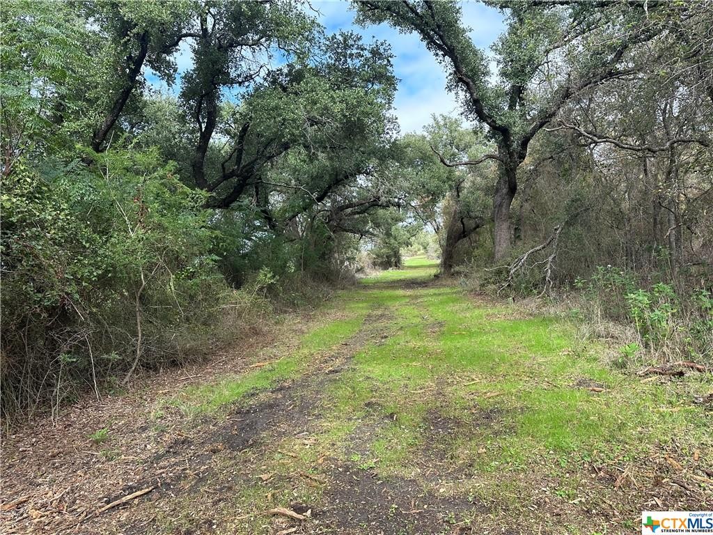 17800 E Fm 2268, Holland, Texas, 76534, United States, ,Residential,For Sale,17800 E Fm 2268,1413367