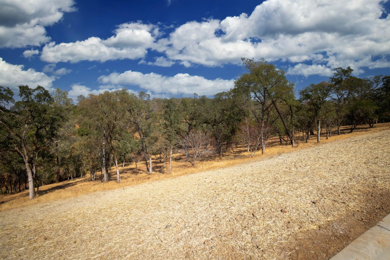 4135 Raphael Drive, El Dorado Hills, California, 95762, United States, ,Land,For Sale,4135 Raphael Drive,1642699