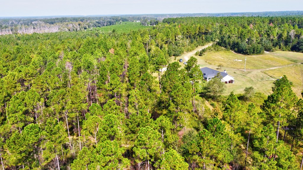 Valdosta, Georgia, 31601, United States, 4 Bedrooms Bedrooms, ,3 BathroomsBathrooms,Residential,For Sale,1980775