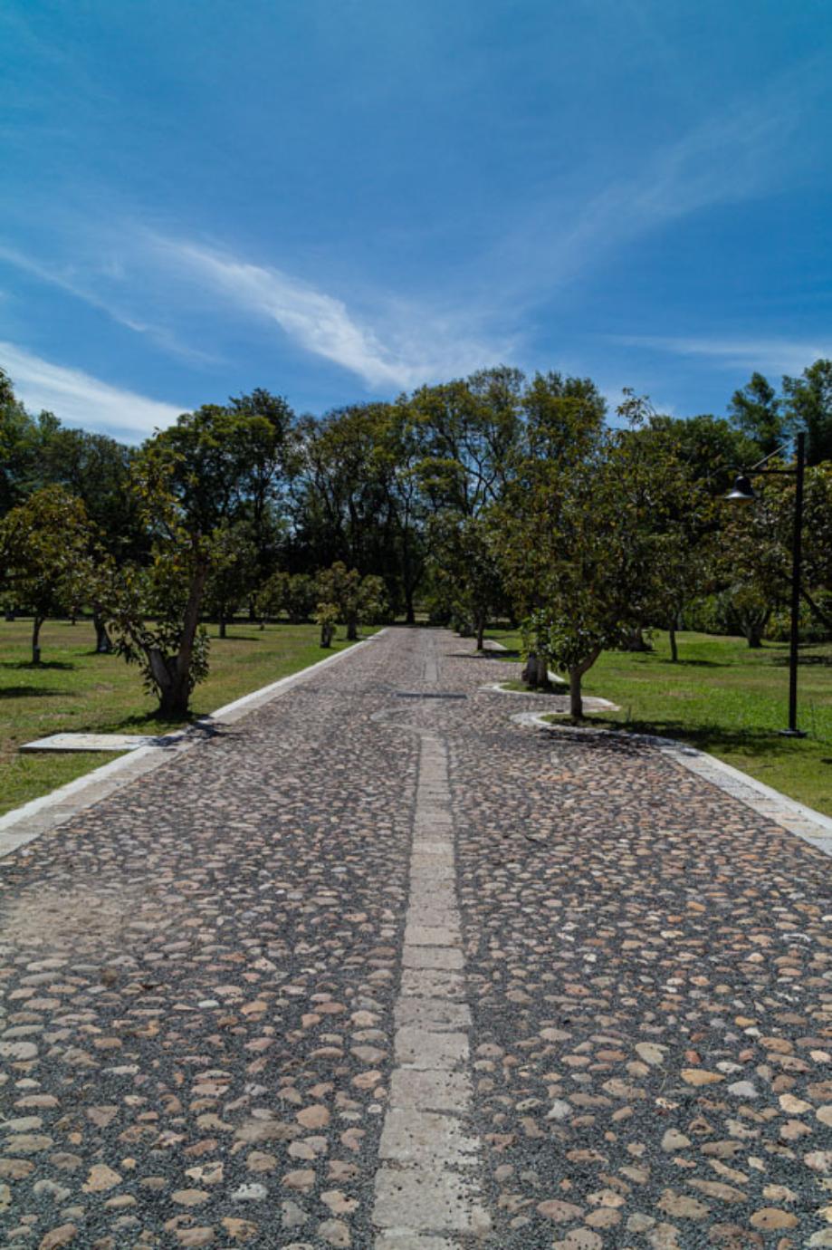 Lote 7 y 8, San Miguel de Allende, Guanajuato, 38200, Mexico, 1 Bedroom Bedrooms, ,Residential,For Sale,Lote 7 y 8,1629015