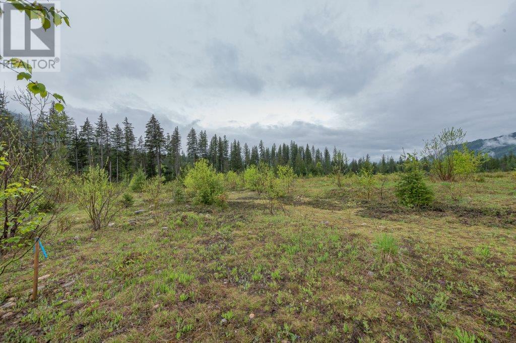 MALAKWA, British Columbia, V0E 2J0, CA, ,Residential,For Sale,1839000
