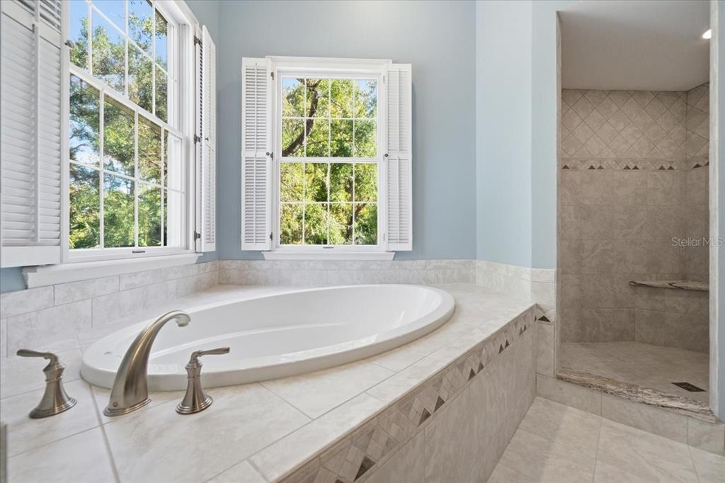 Tampa, Florida, 33647, United States, 4 Bedrooms Bedrooms, ,6 BathroomsBathrooms,Residential,For Sale,1989549