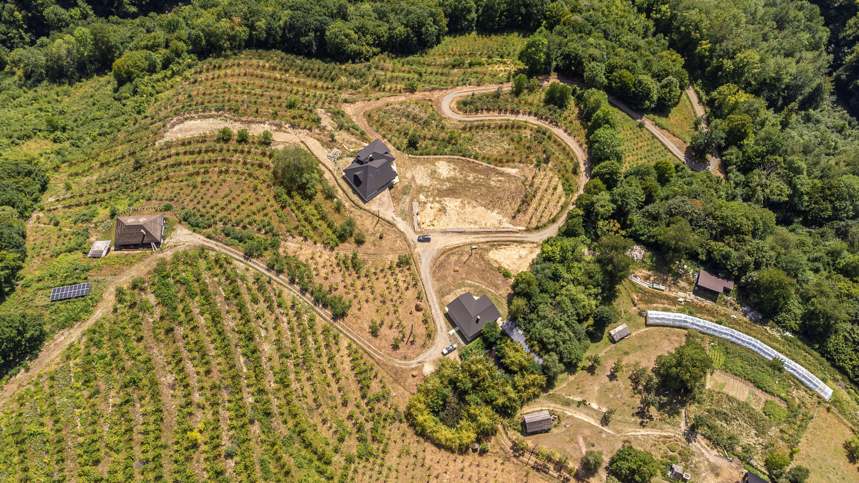  Versatile 22-Hectare Private Estate - Forested Heart of the Apuseni Mountains - 物件實景