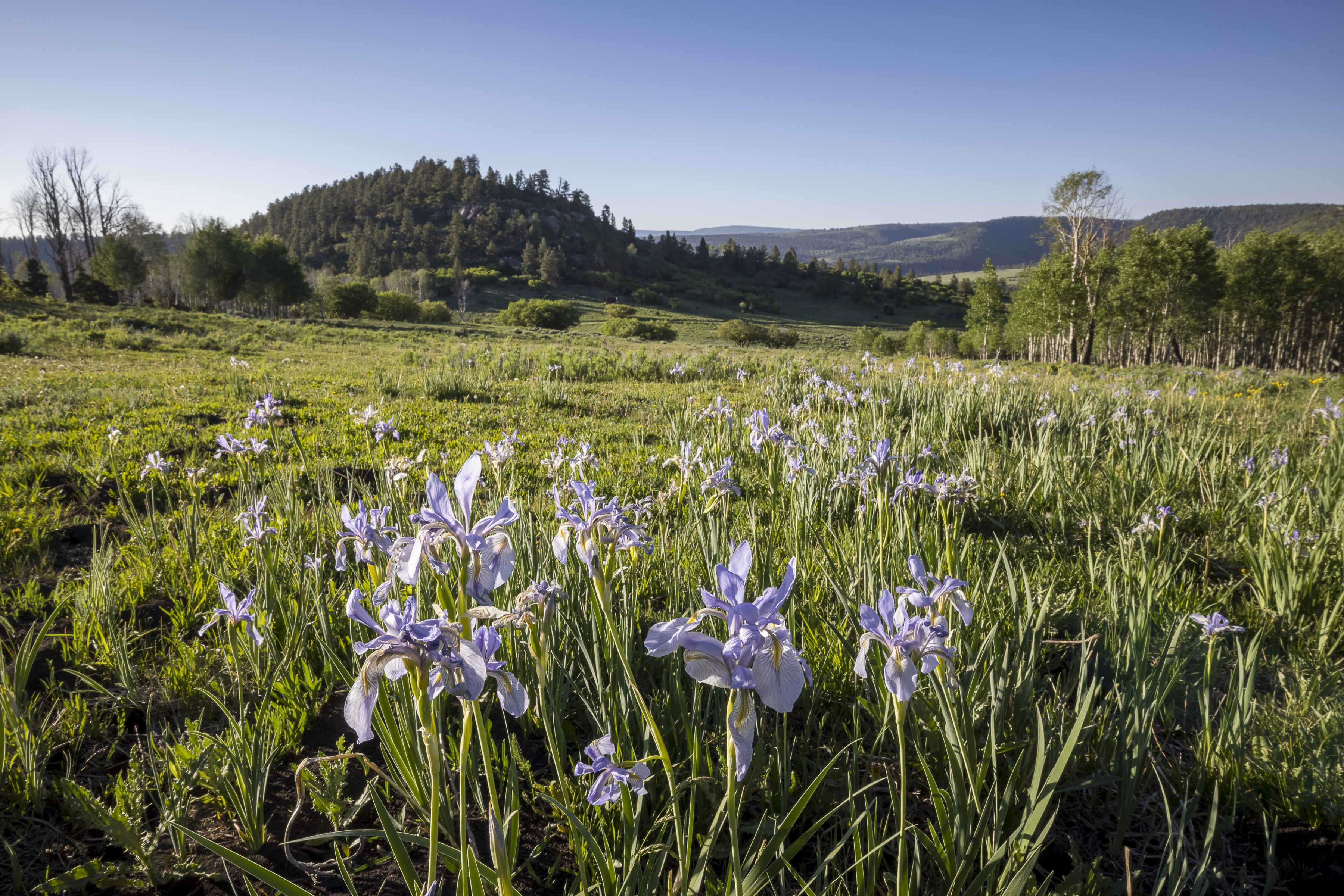  Telluride Renegade Ranch - 602 acres on Hastings Mesa - 物件實景