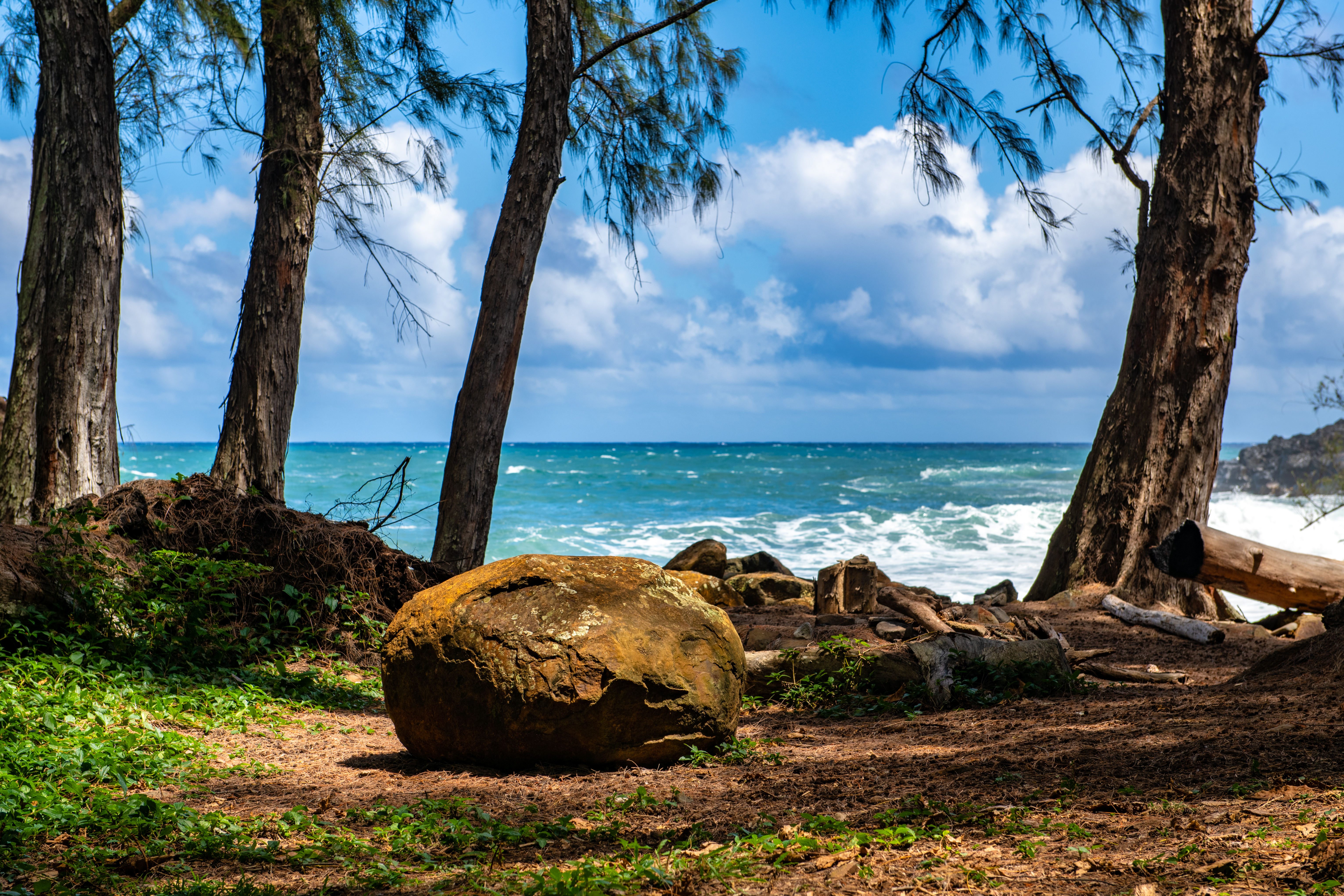  53-4223 Pratt Road, Kapaau, HI 96755 - 物件實景
