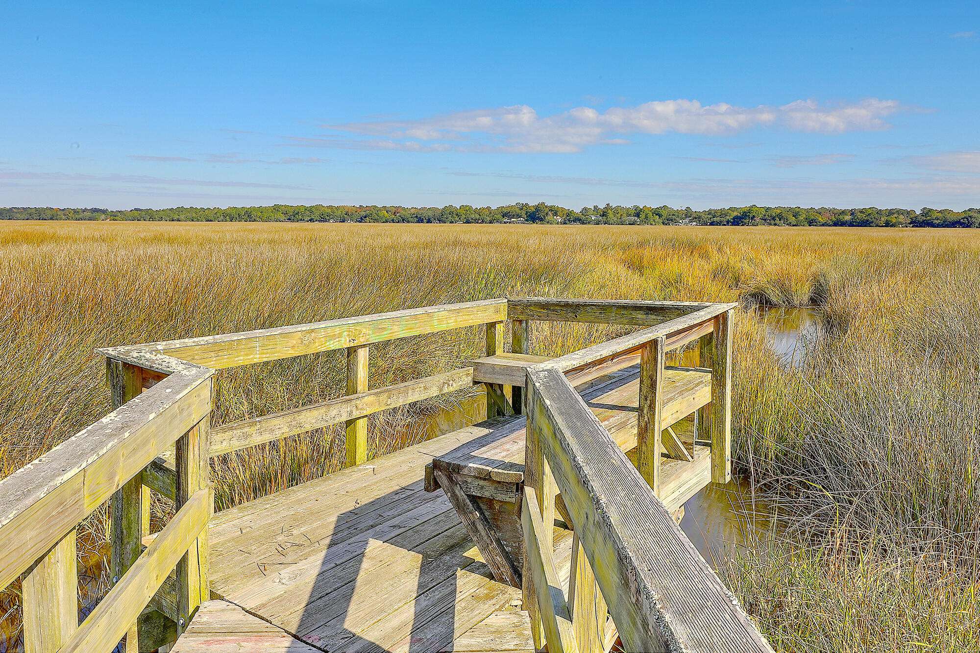 Charleston, South Carolina, 29414, United States, 4 Bedrooms Bedrooms, ,4 BathroomsBathrooms,Residential,For Sale,1895011