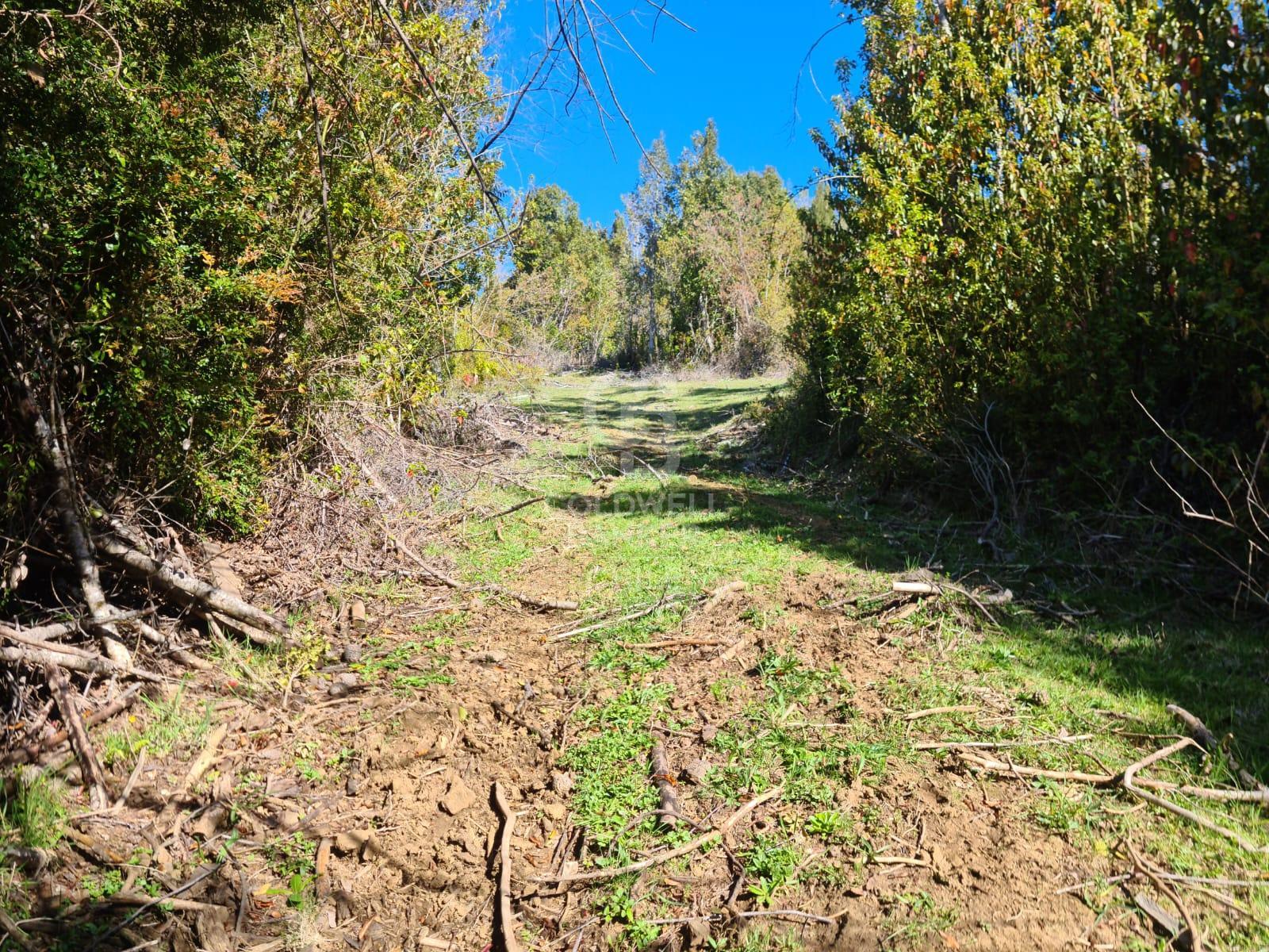 Fresia, Chile, ,Residential,For Sale,1913252