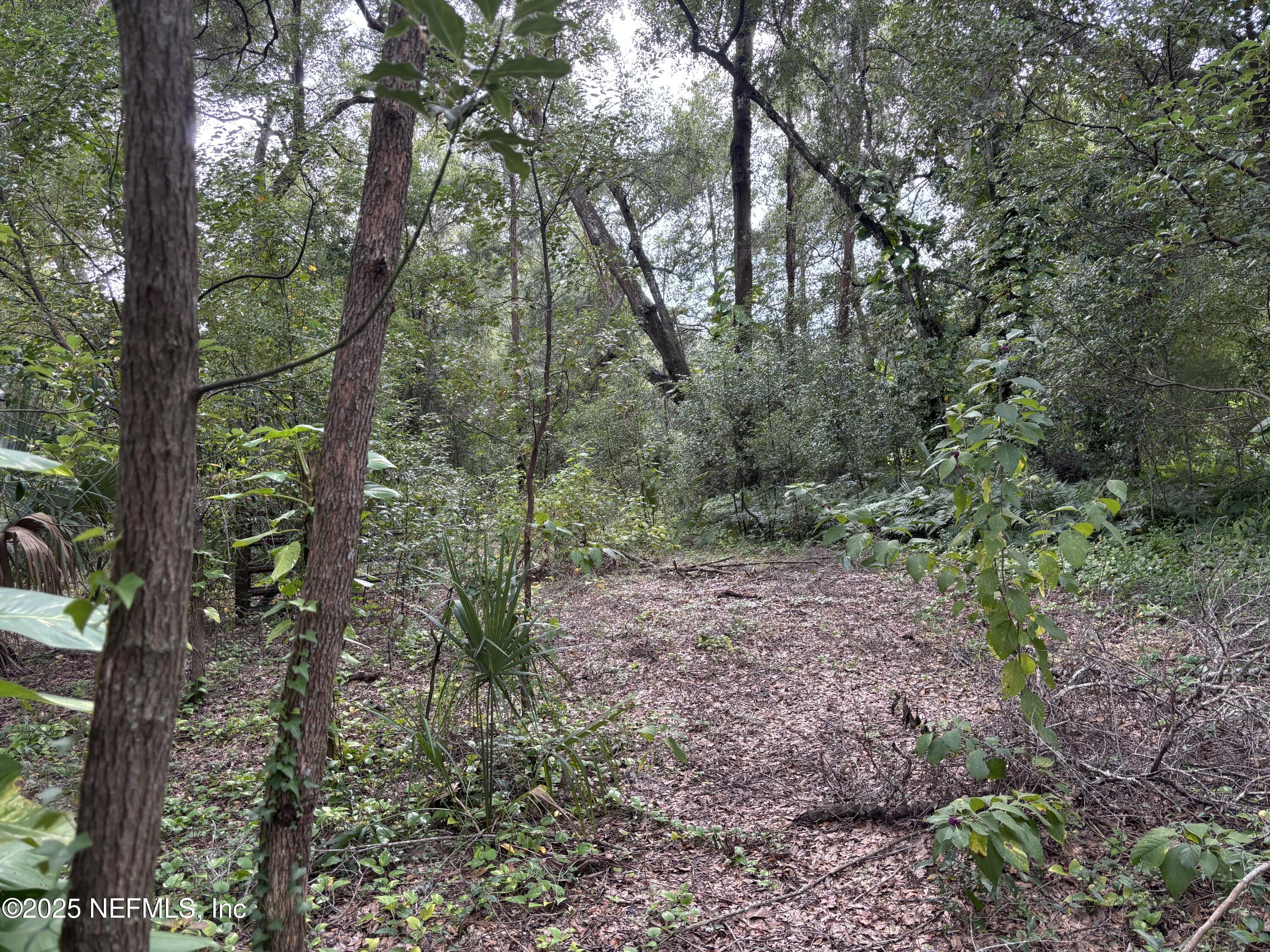 Apopka, Florida, 32712, United States, ,Land,For Sale,2002894