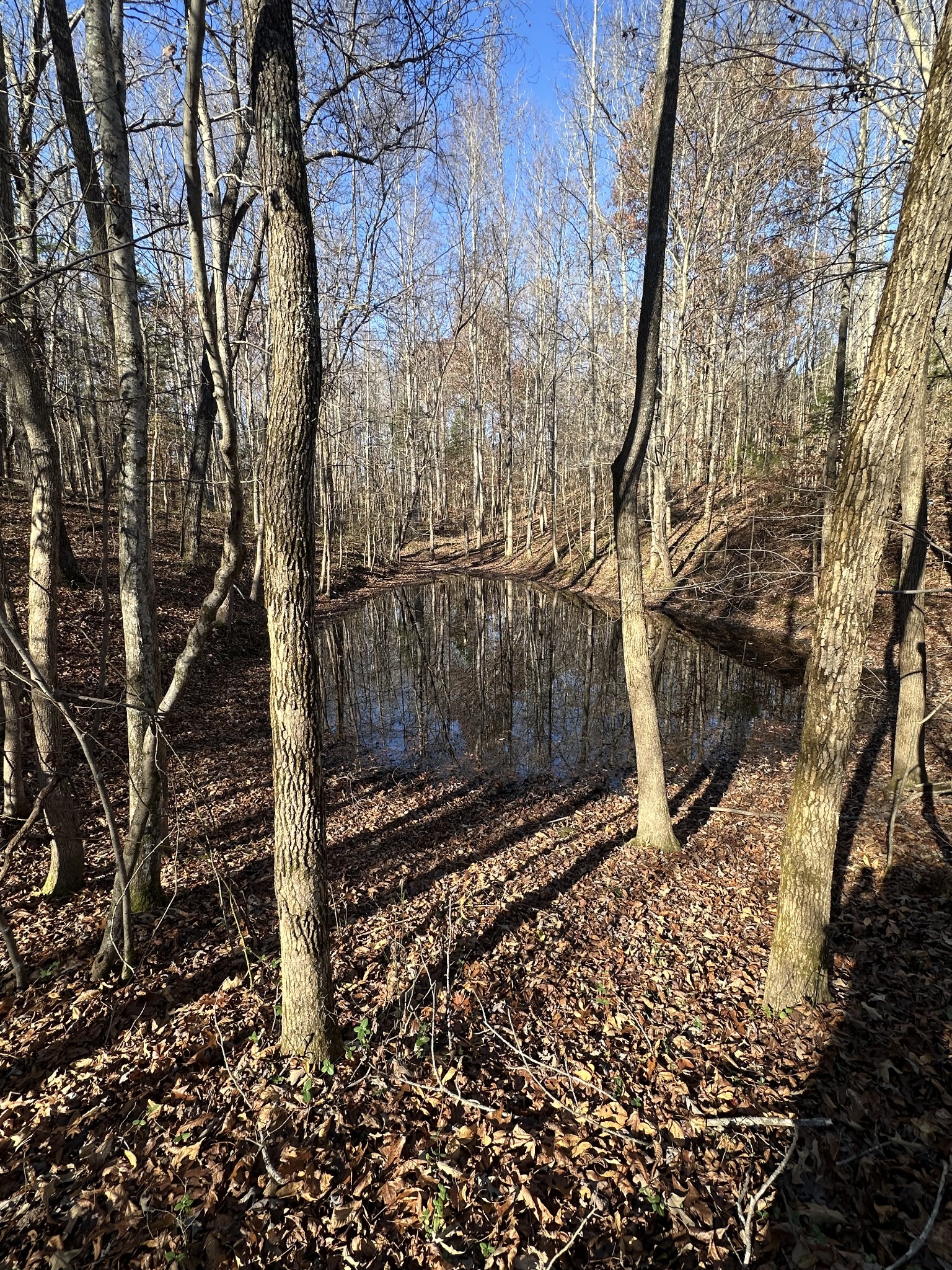 Clarksville, Tennessee, 37040, United States, 4 Bedrooms Bedrooms, ,3 BathroomsBathrooms,Residential,For Sale,1988852