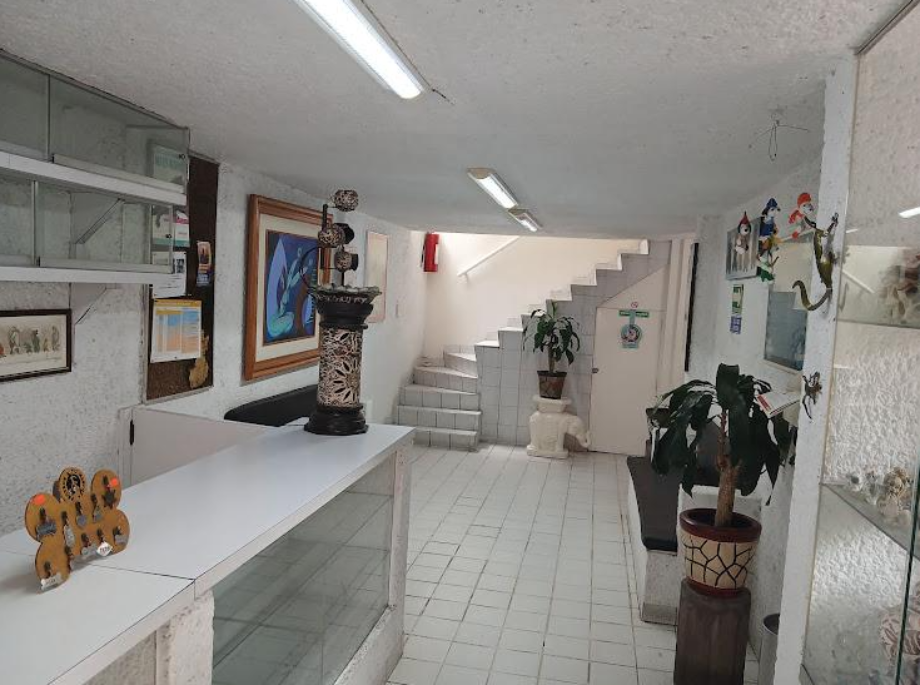 Coyoacán, Ciudad de México, 04200, Mexico, 4 Bedrooms Bedrooms, ,2 BathroomsBathrooms,Residential,For Sale,1916889