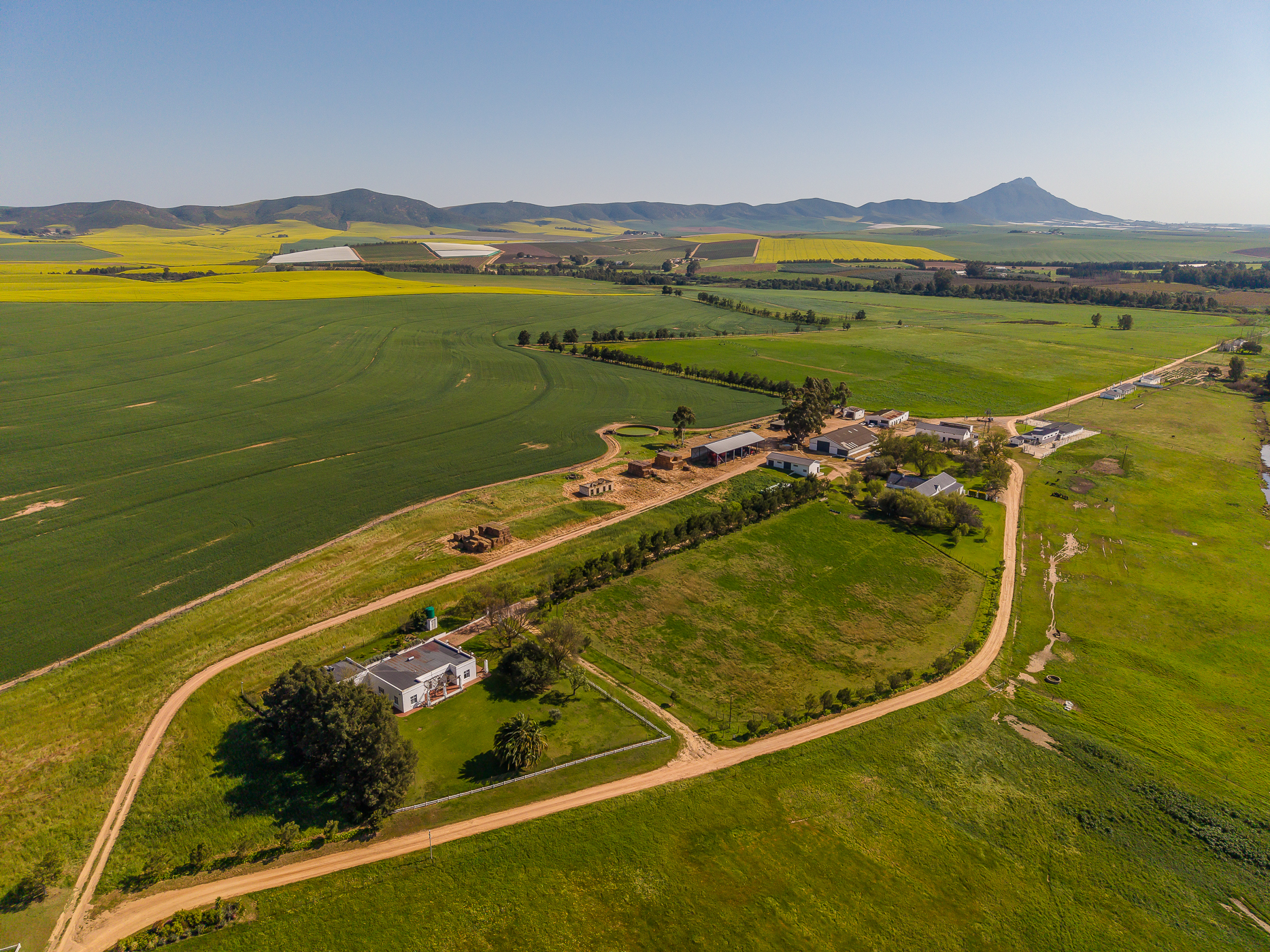  123-Hectare Irrigated Farm on the banks of the Berg River - 物件實景