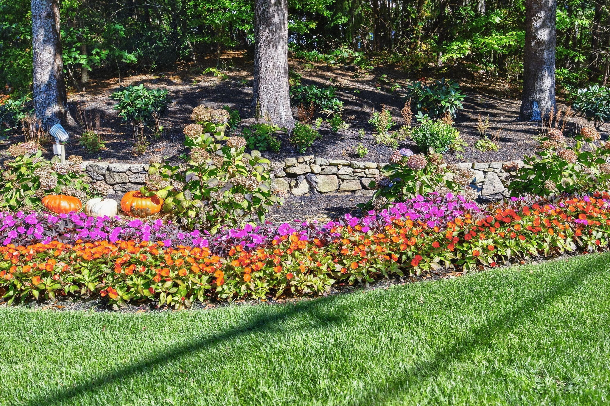  16 West Woods, Yarmouth Port, MA, 02675 - 物件實景