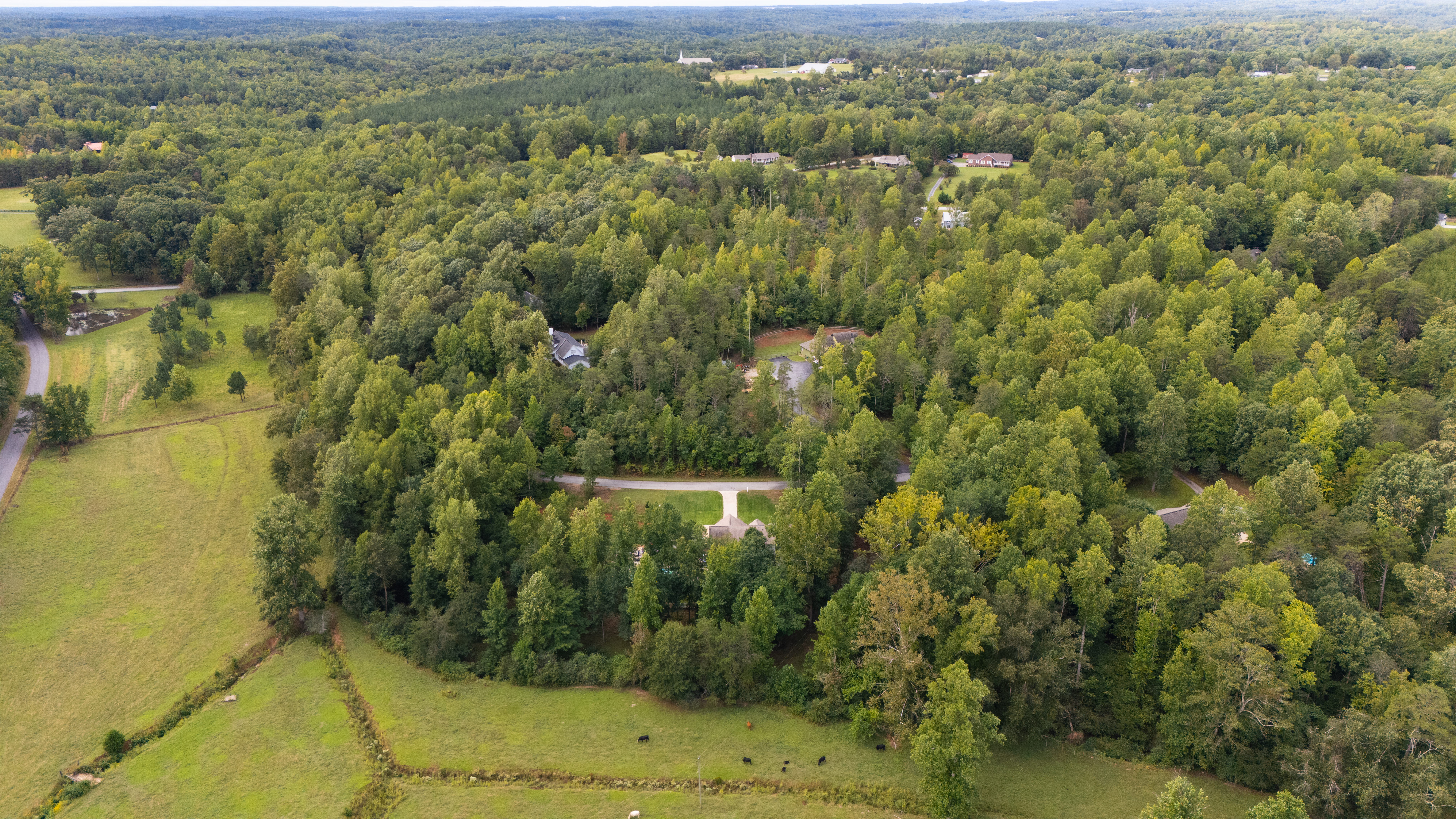  40 McCarrell Road, Travelers Rest, SC 29690 - 物件實景