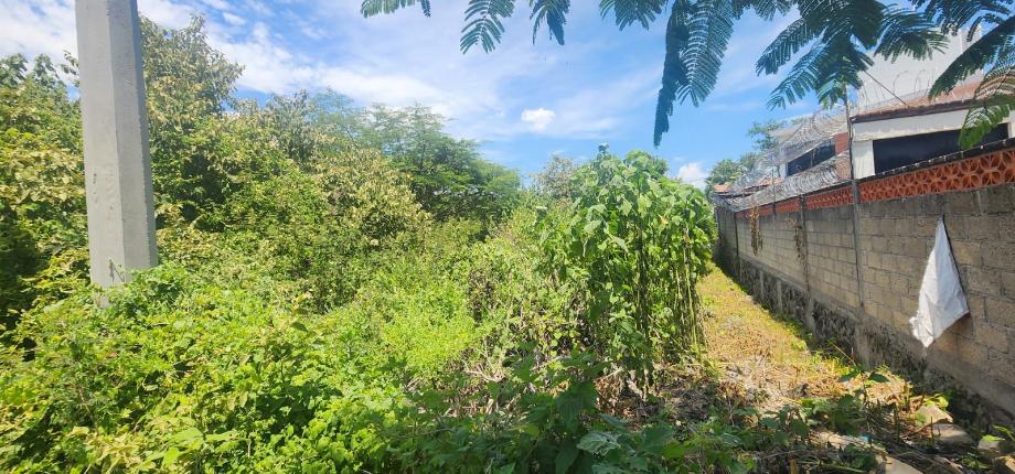 Emiliano Zapata, Morelos, 62768, Mexico, 1 Bedroom Bedrooms, ,Residential,For Sale,1926574