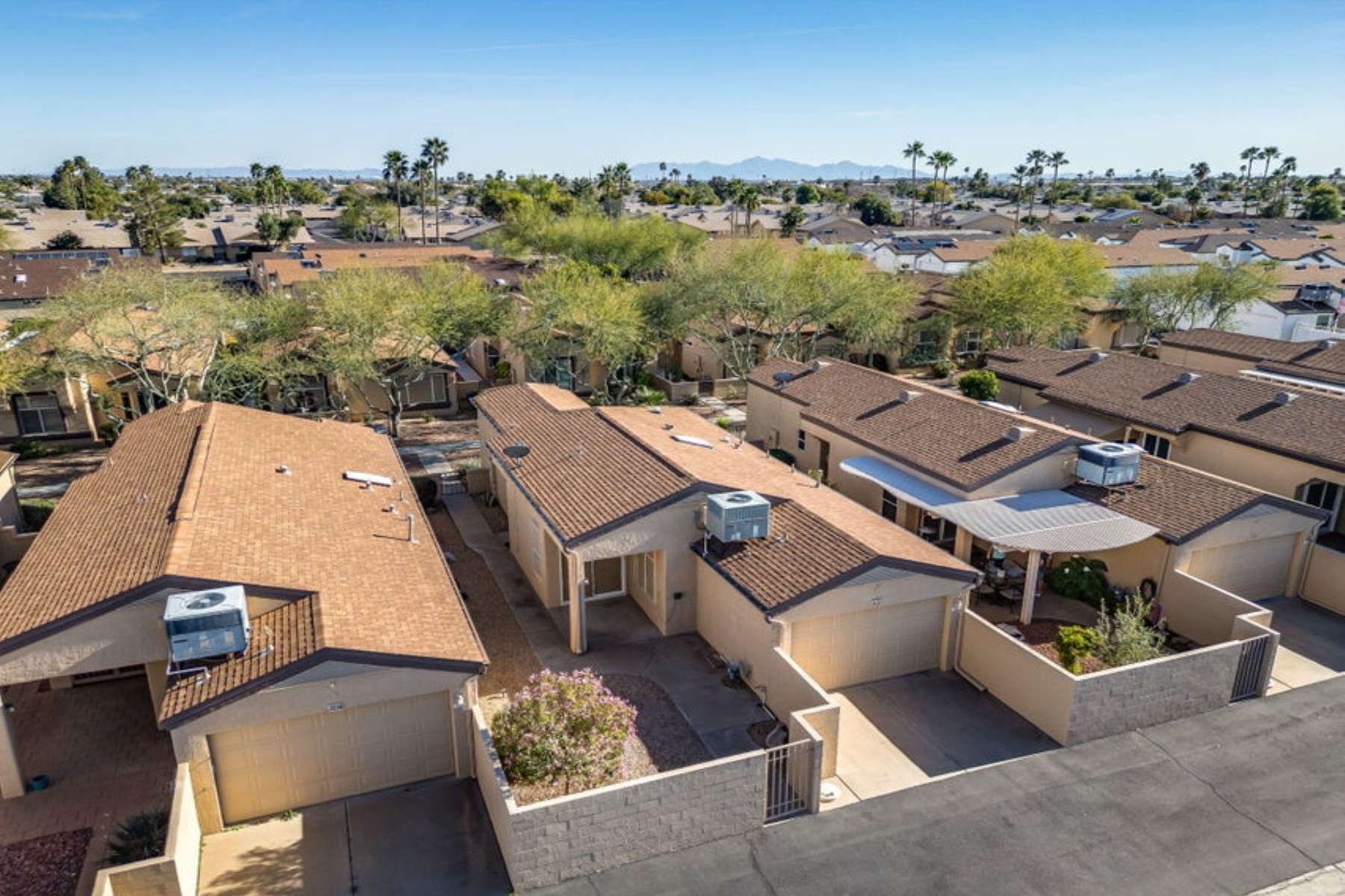  18846 N Palomar Drive¦Sun City West, AZ - 物件實景
