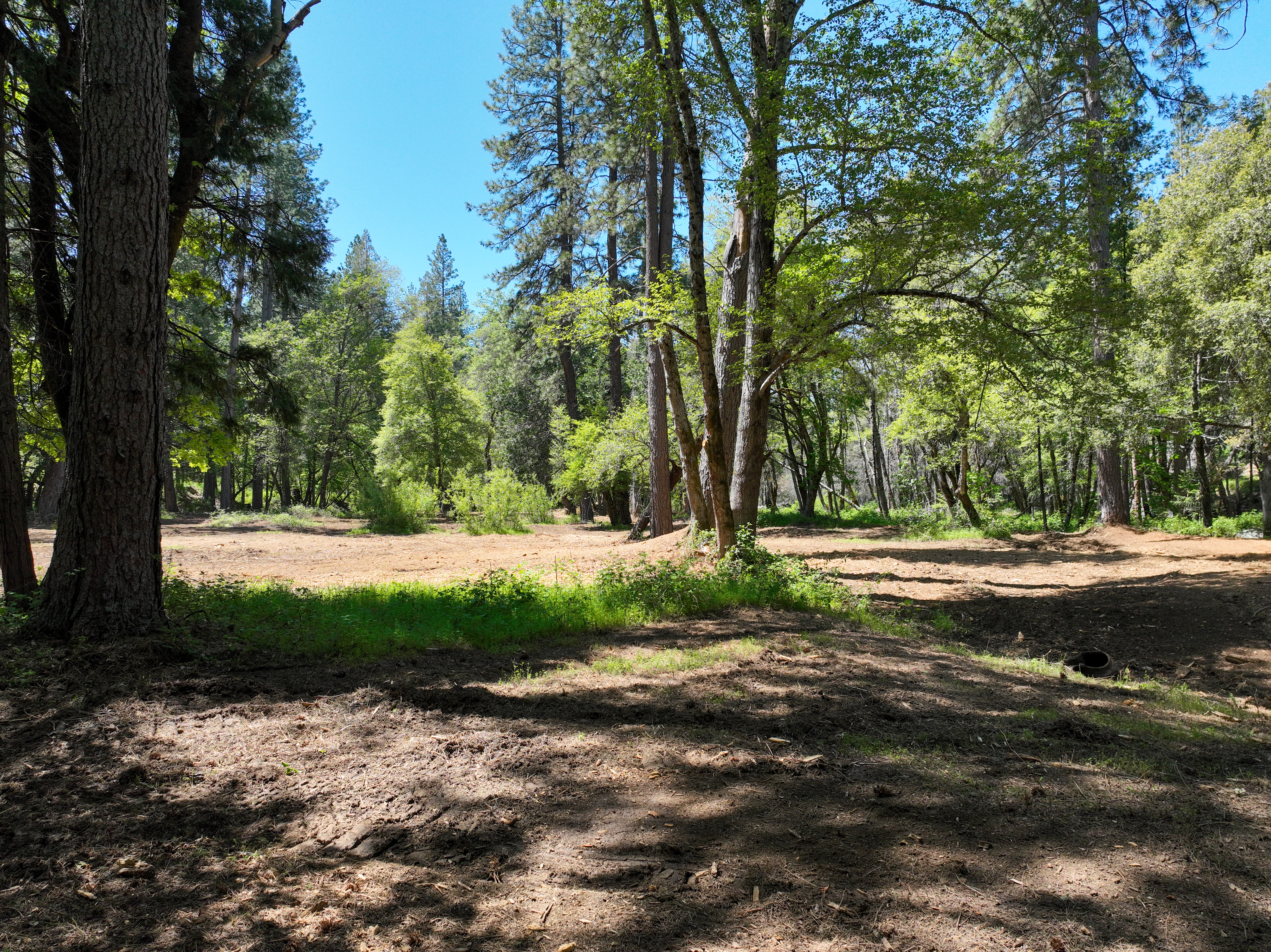  20493 Rector Road, Nevada City, CA 95959 - 物件實景