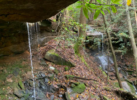 London, Kentucky, 40741, United States, ,Land,For Sale,1982608