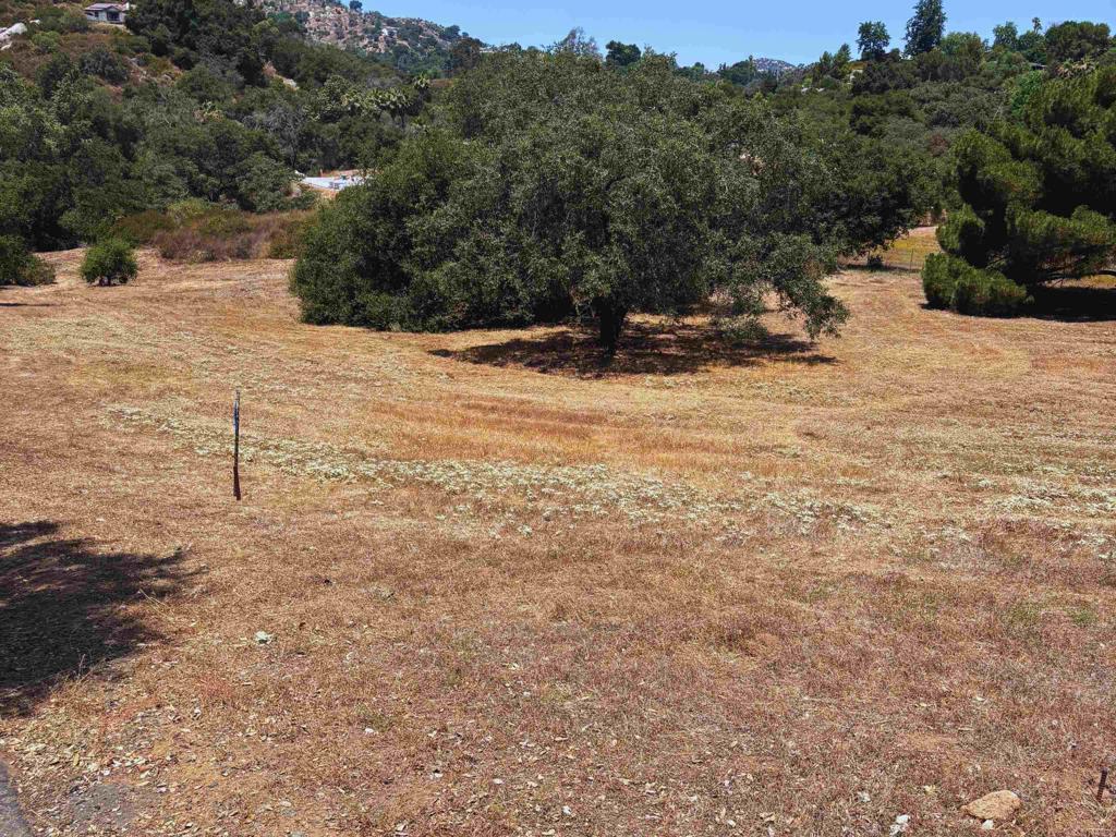 0 Jesmond Dene Road, Escondido, California, 92026, United States, ,Land,For Sale,0 Jesmond Dene Road,1617081