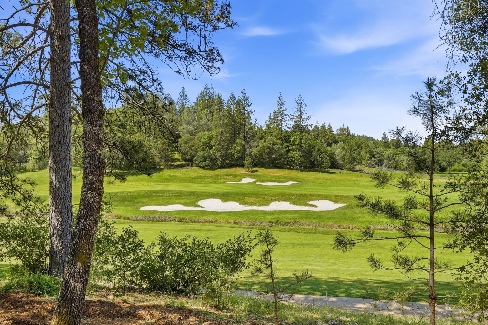  23796 Landon Evan Lane, Auburn, CA 95602 - 物件實景