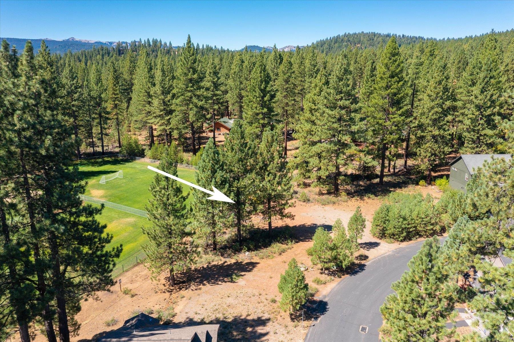 Truckee, California, 96161, United States, ,Land,For Sale,1942120