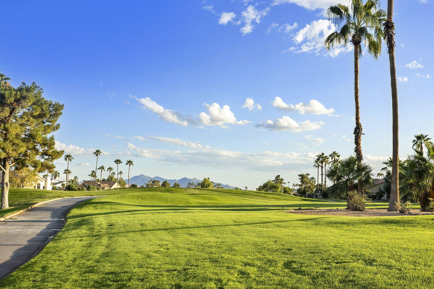  3365 N 153rd Drive¦Goodyear, AZ - 物件實景
