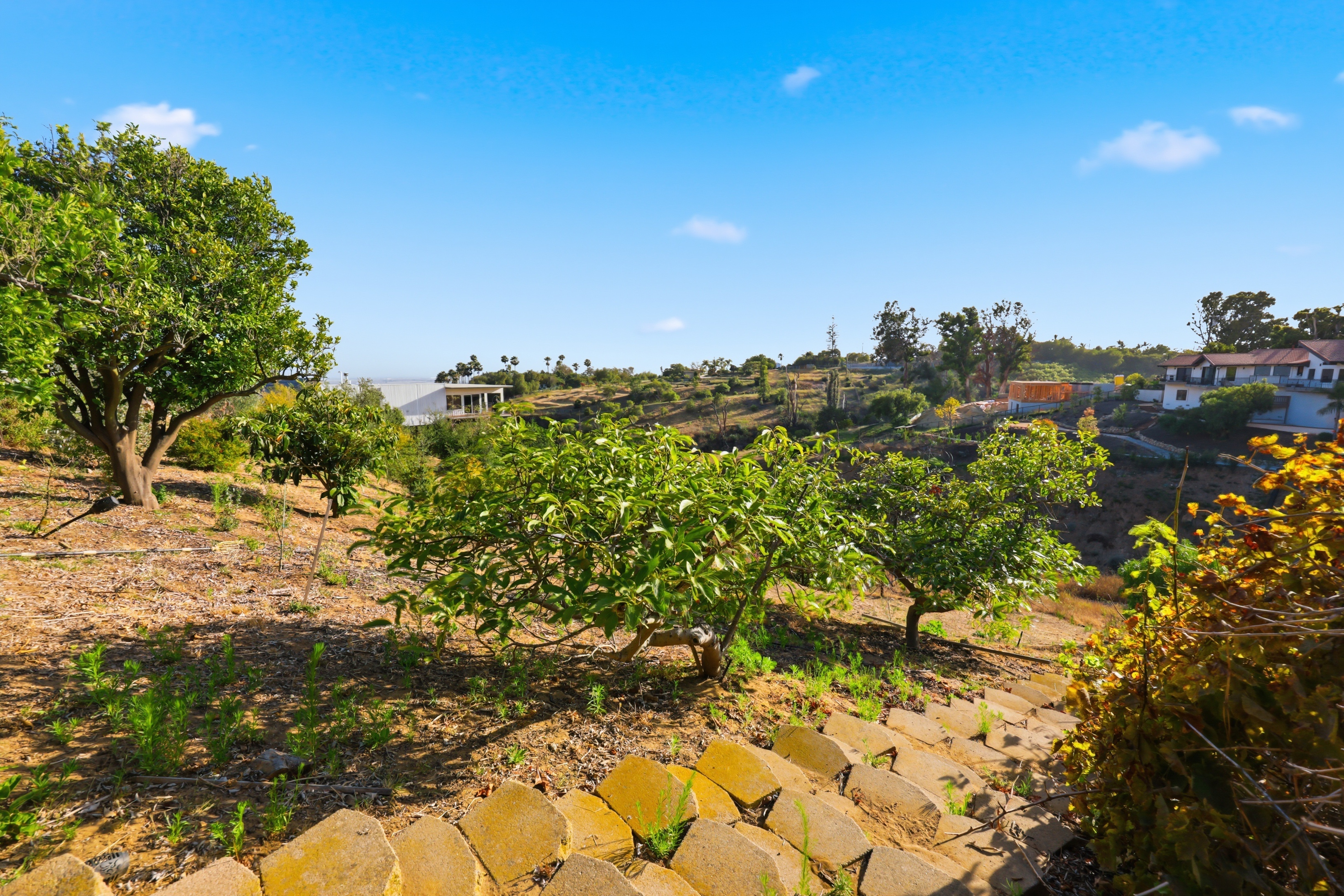  585 Otero Court, Camarillo, CA 93010 - 物件實景