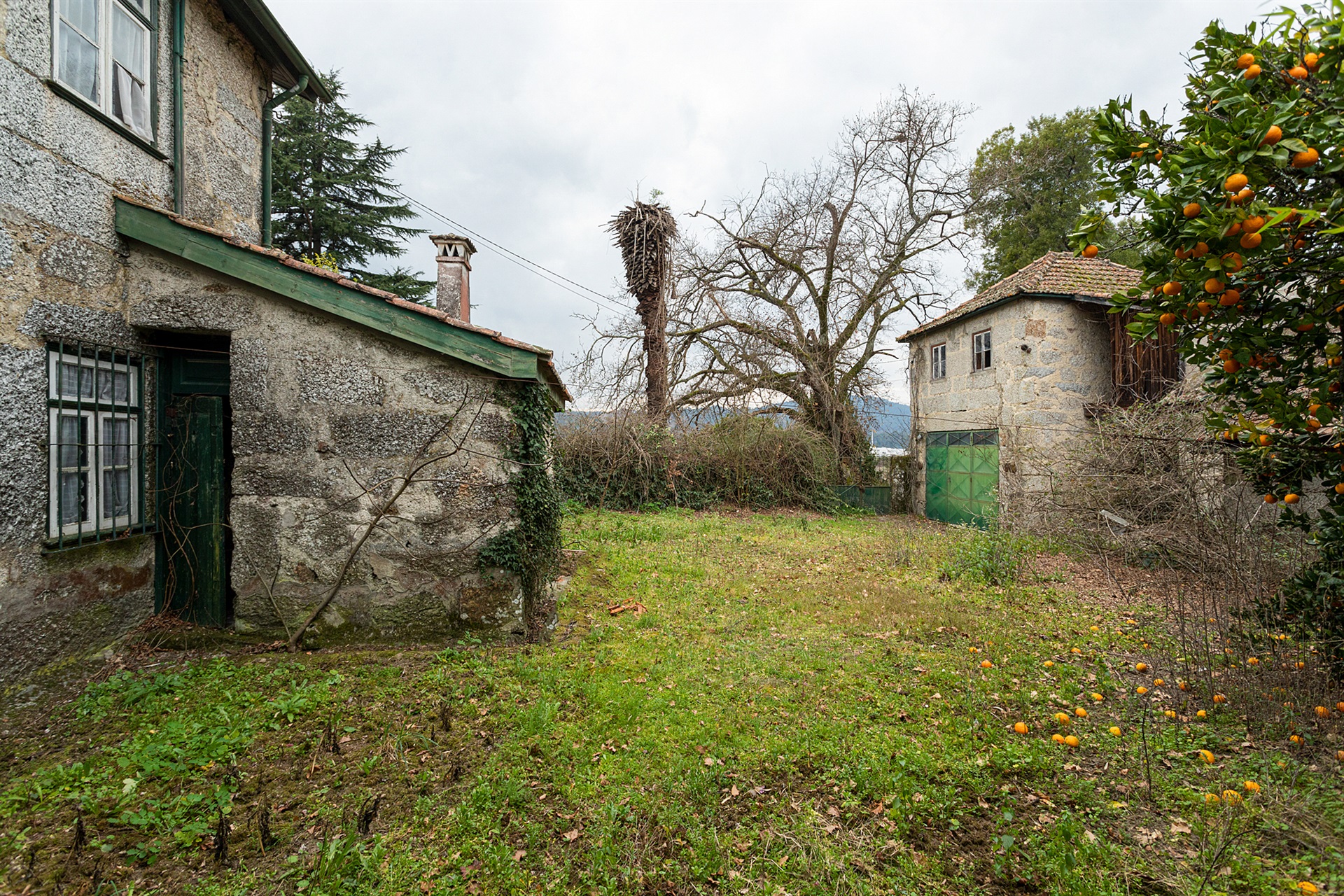  Small Farm, 4 bedrooms, for Sale - 物件實景