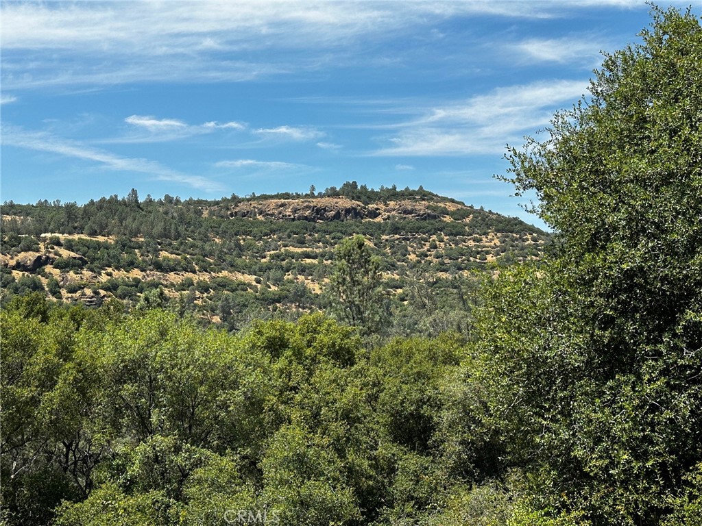 Chico, California, 95928, United States, ,Land,For Sale,1974273