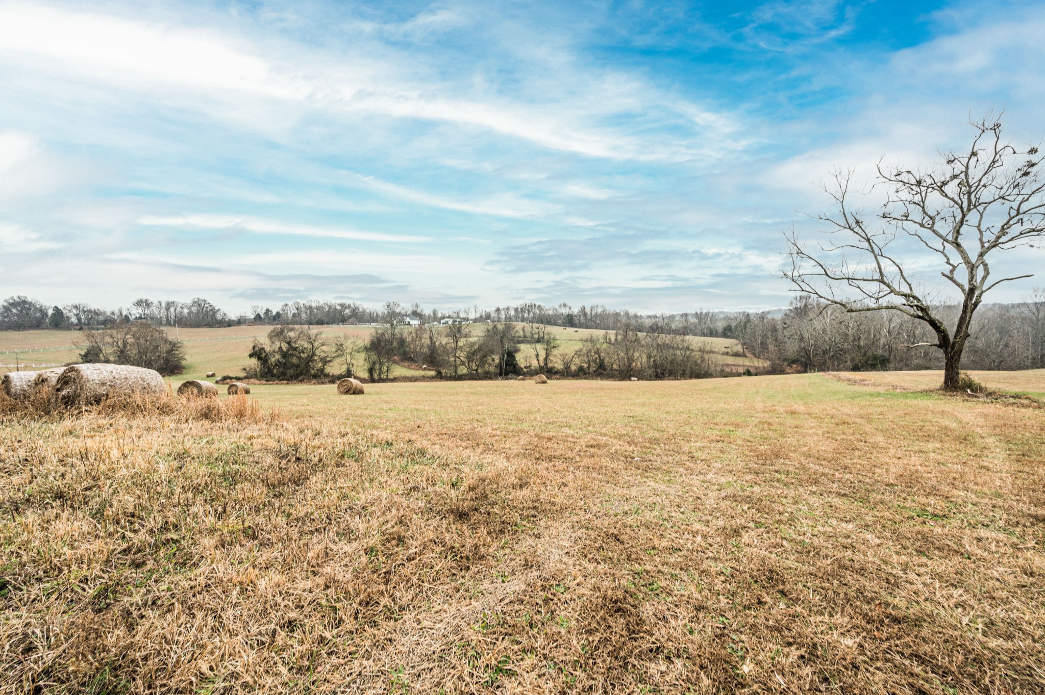 Scottsville, Kentucky, 42164, United States, 4 Bedrooms Bedrooms, ,4 BathroomsBathrooms,Residential,For Sale,2002114