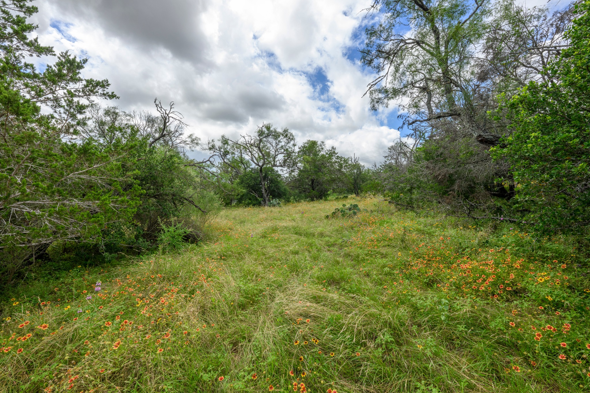  16 Acres in Spicewood - 物件實景