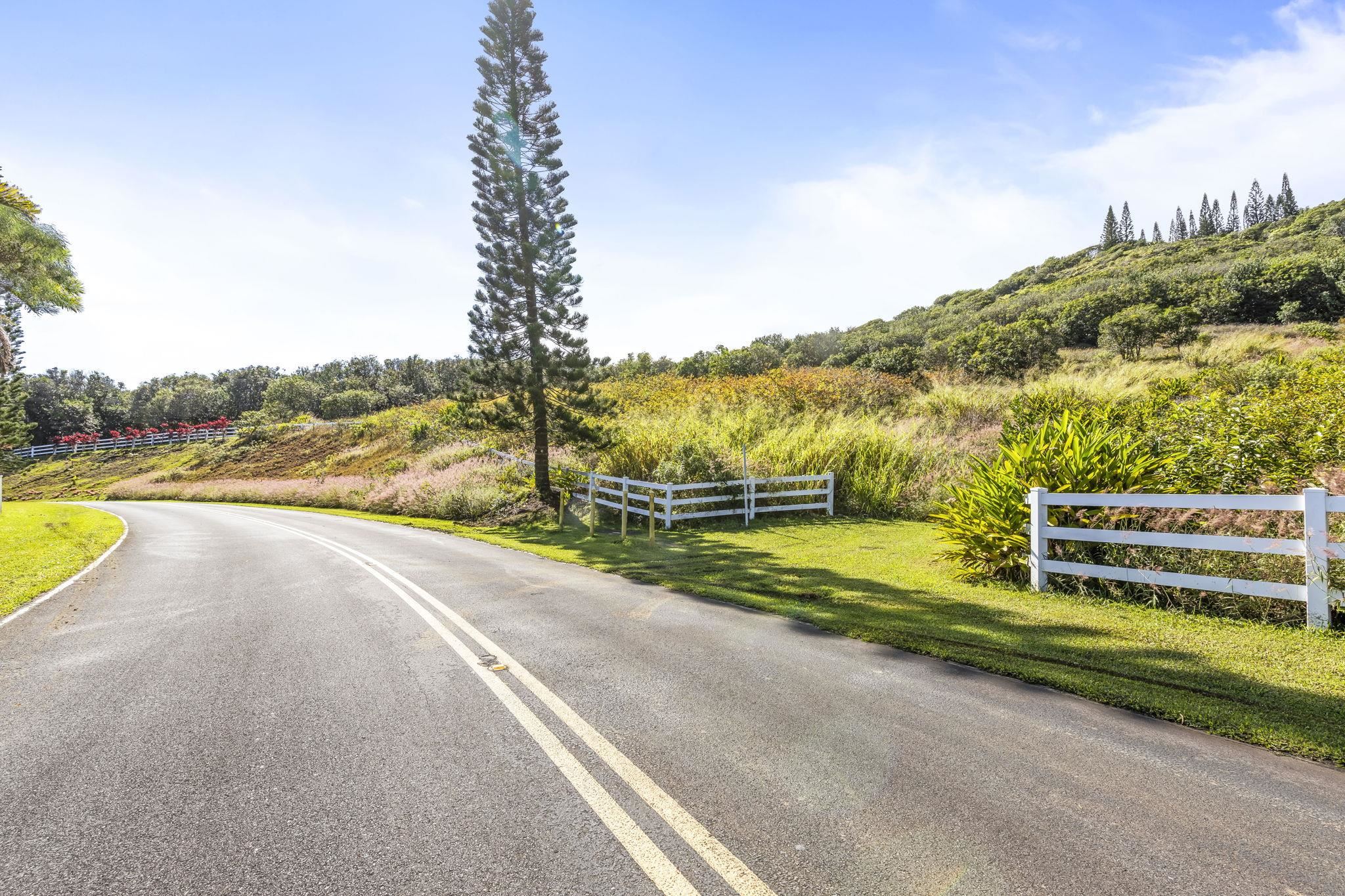 63 Lahaole Pl, Wailuku, Hawaii, 96793, United States, ,Land,For Sale,63 Lahaole Pl,1676772