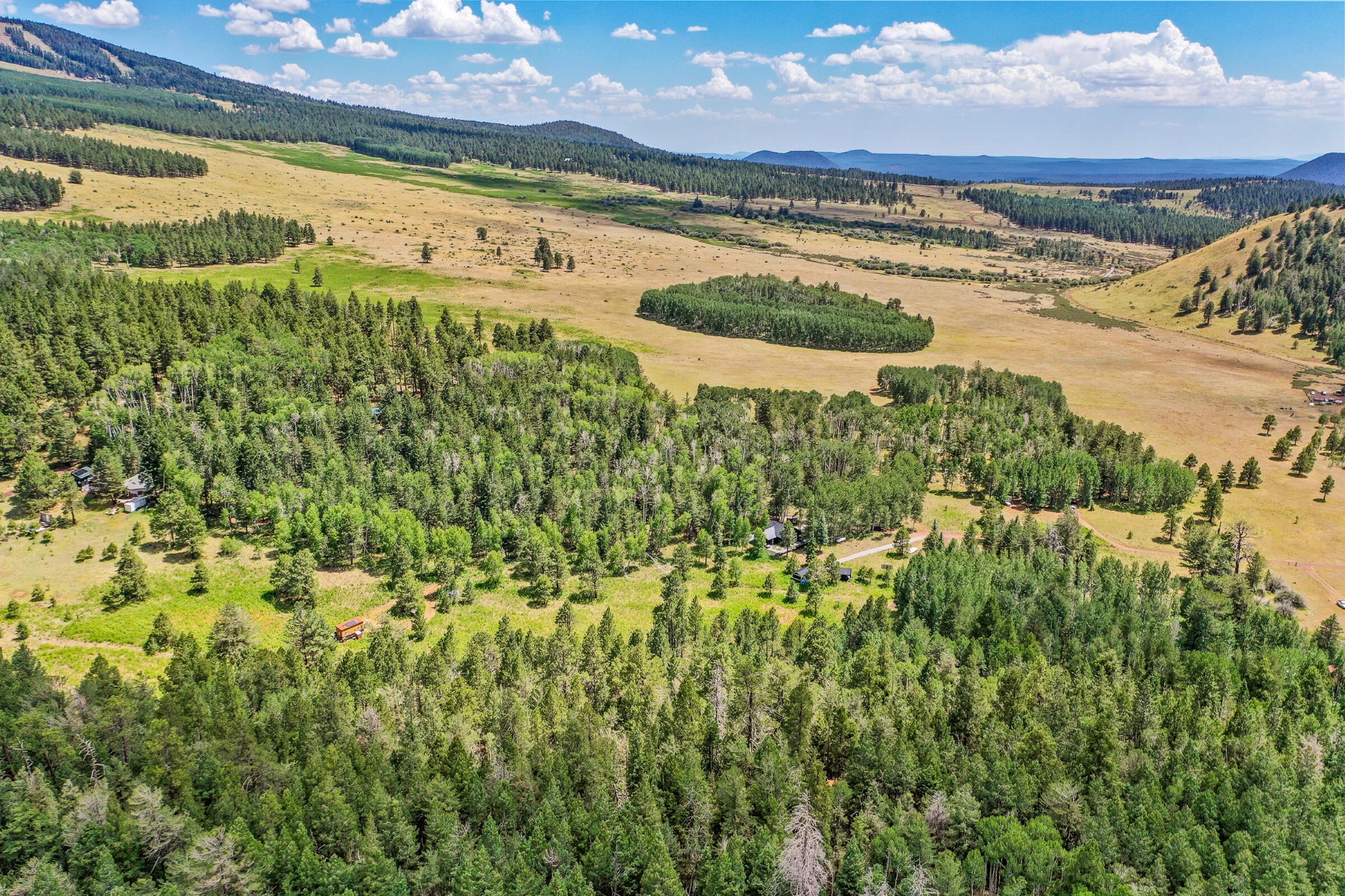  17787 N Forest Service 9004t Road ¦ Flagstaff, AZ - 物件實景