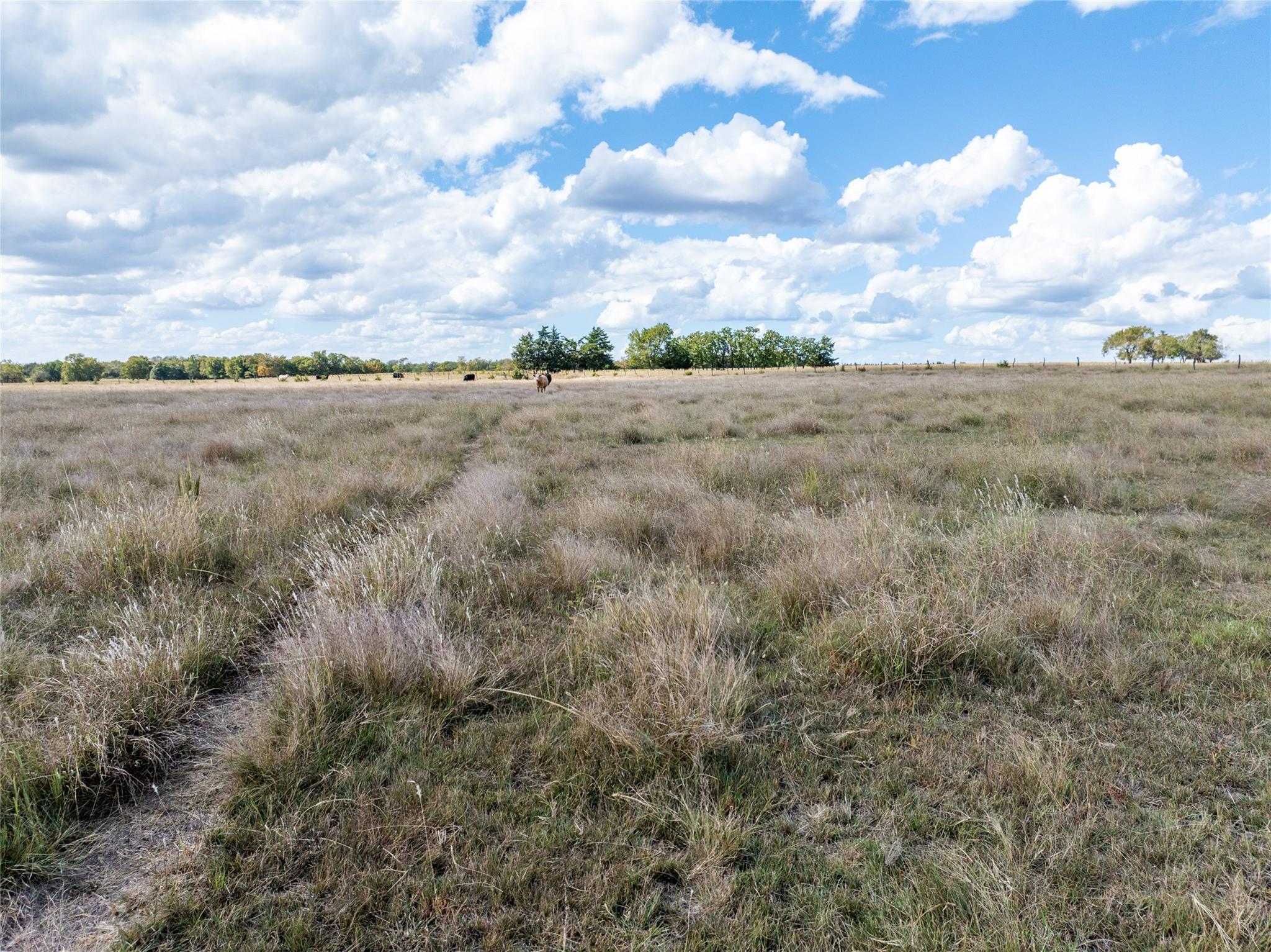 Blossom, Texas, 75416, United States, ,Residential,For Sale,1977937