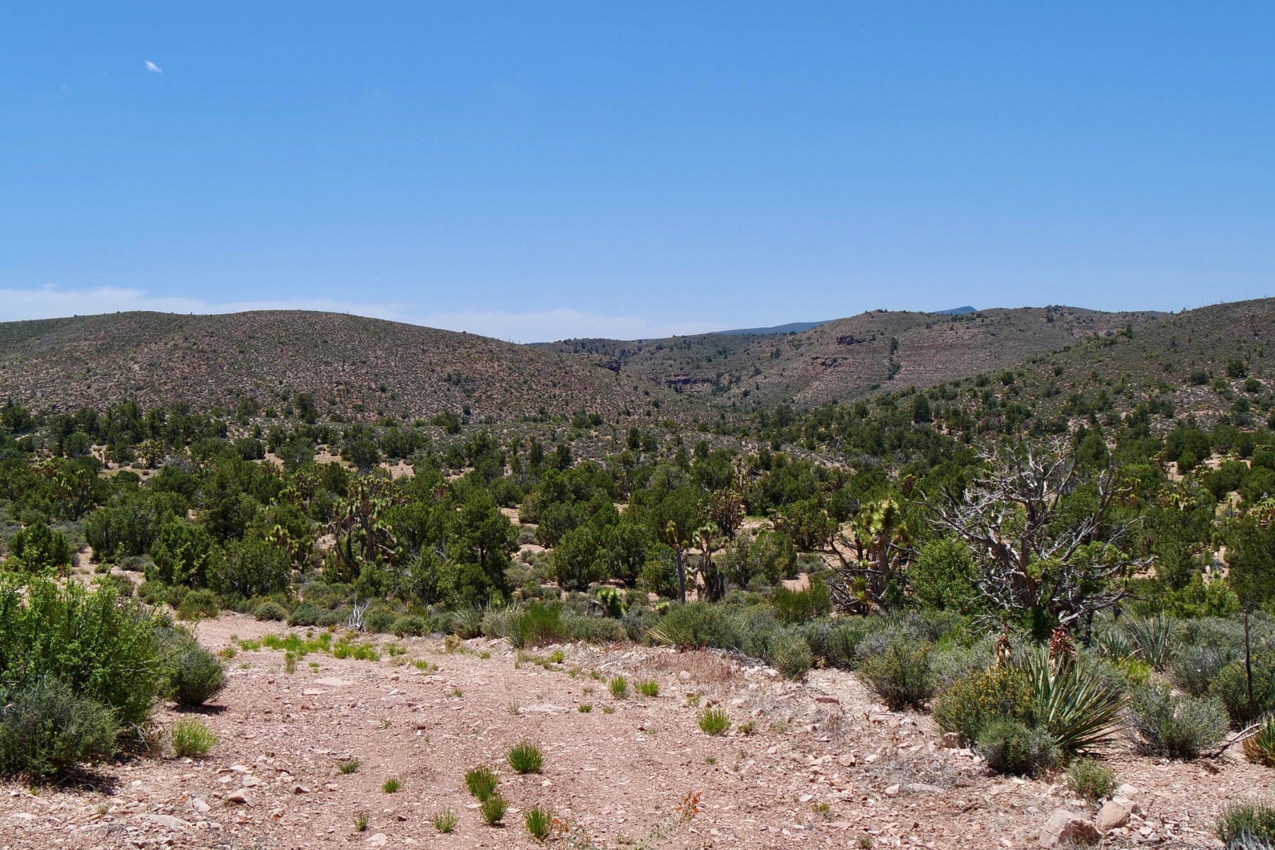  5838 E Diamond Bar Road ¦ Meadview, AZ - 物件實景