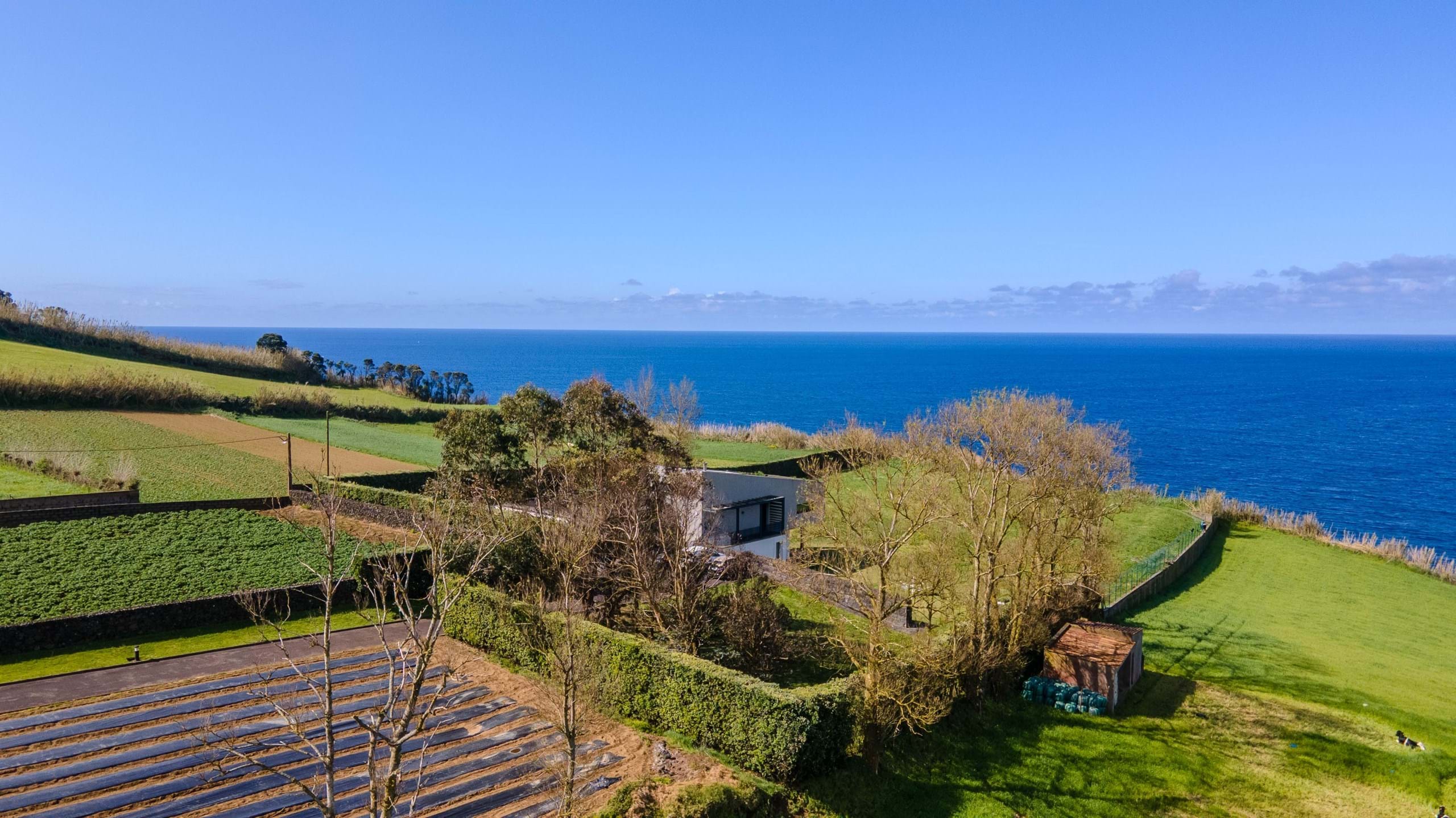 Ponta Delgada, Ilha de São Miguel, 9560-501, PT, 3 Bedrooms Bedrooms, ,4 BathroomsBathrooms,Residential,For Sale,1826448