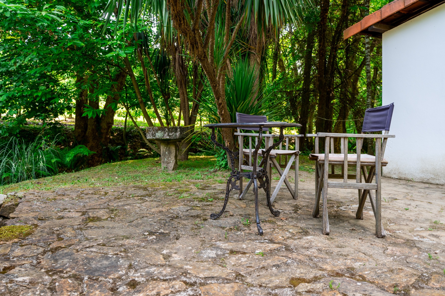  Farm, 8 bedrooms, for Sale - 物件實景