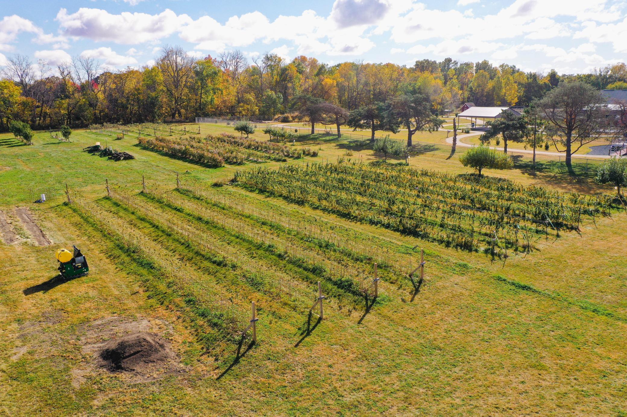 Bridgewater Twp, Minnesota, 55057, United States, ,Residential,For Sale,1851900