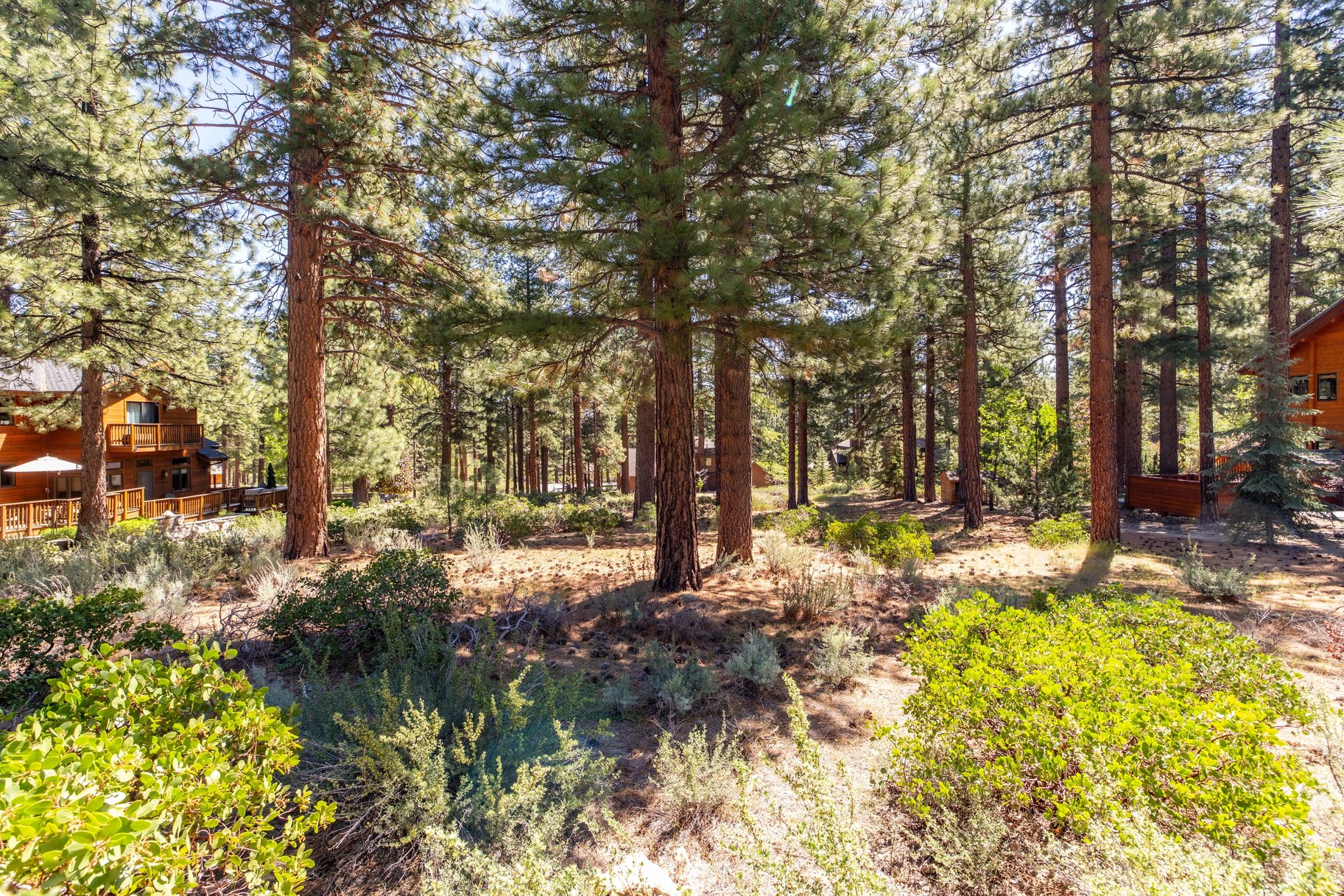  Private Galena Forest Parcel Near Mt. Rose with Pines & Tahoe Access - 物件實景