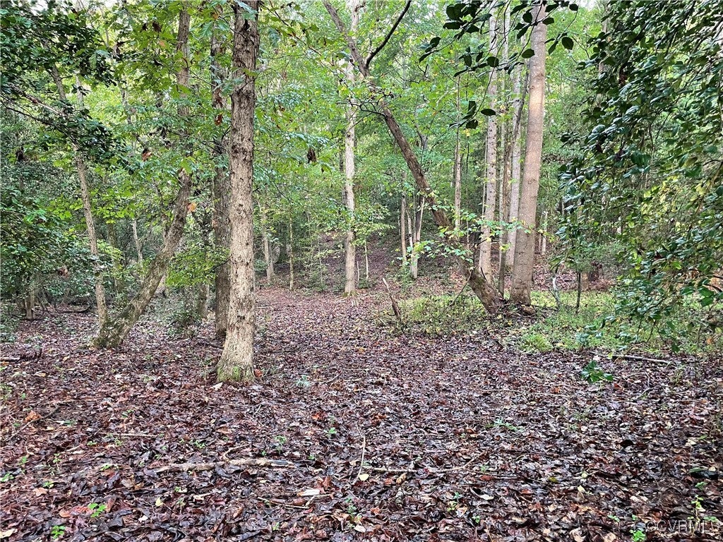 1105 Stewarts Road, Lanexa, Virginia, 23089, United States, ,Land,For Sale,1105 Stewarts Road,1632390