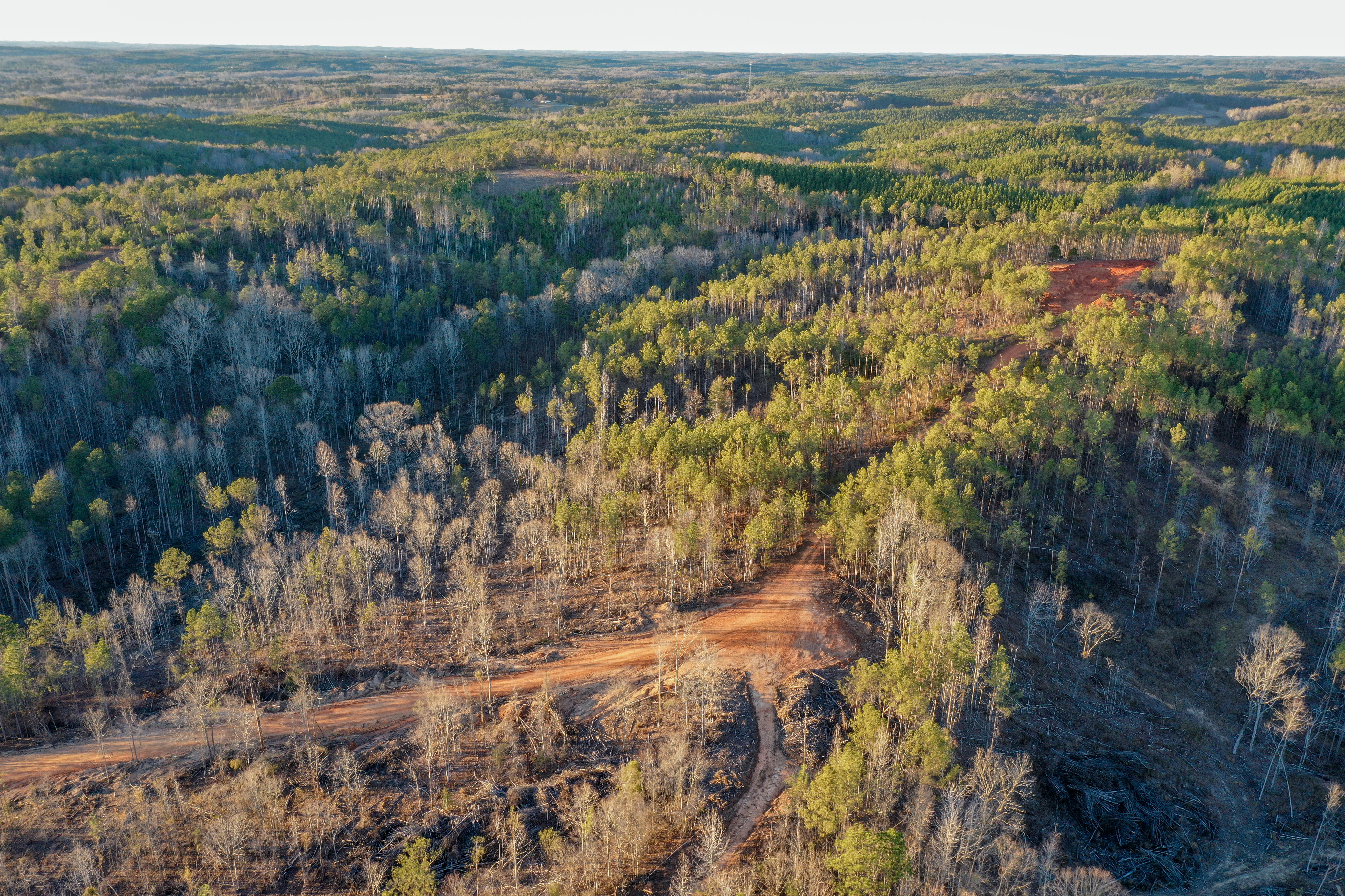 Centreville, Alabama, 35042, United States, ,Land,For Sale,2010430