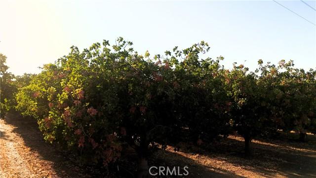 Madera, California, 93638, United States, ,Residential,For Sale,1941282