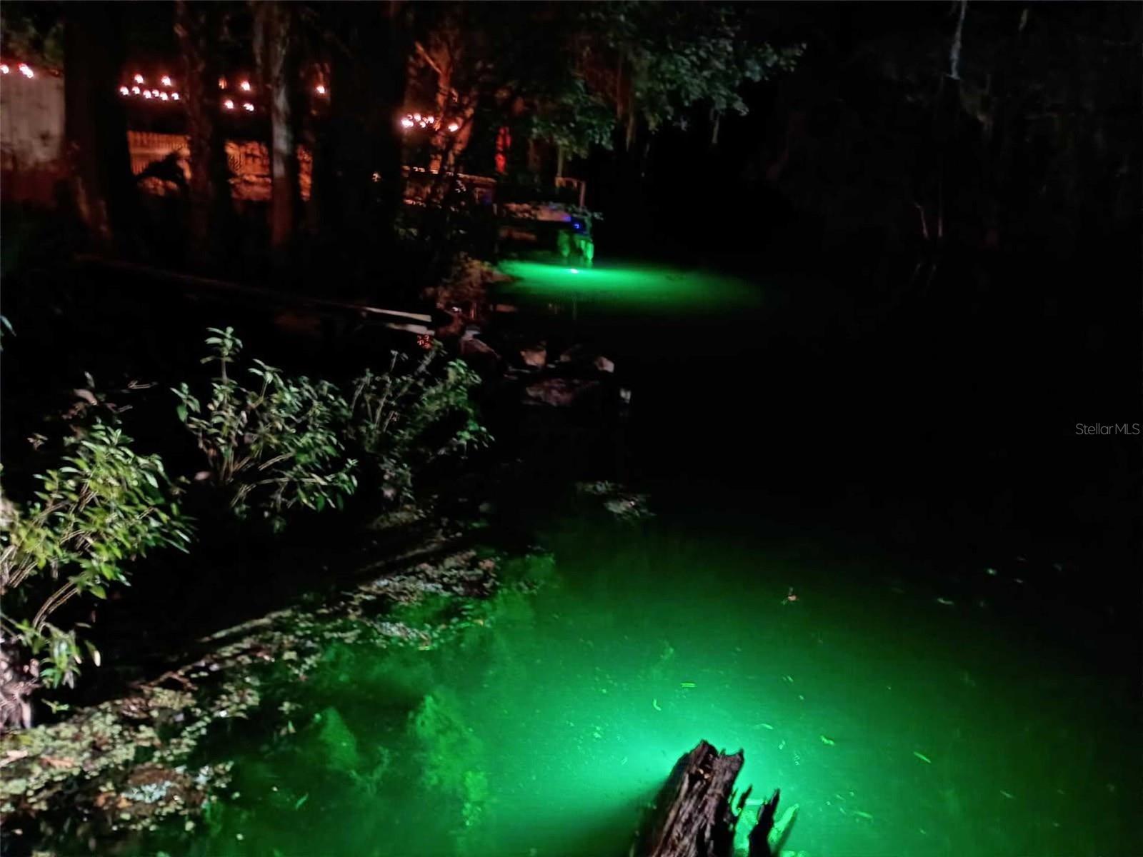 DUNNELLON, Florida, 34431, United States, 3 Bedrooms Bedrooms, ,2 BathroomsBathrooms,Residential,For Sale,1993271