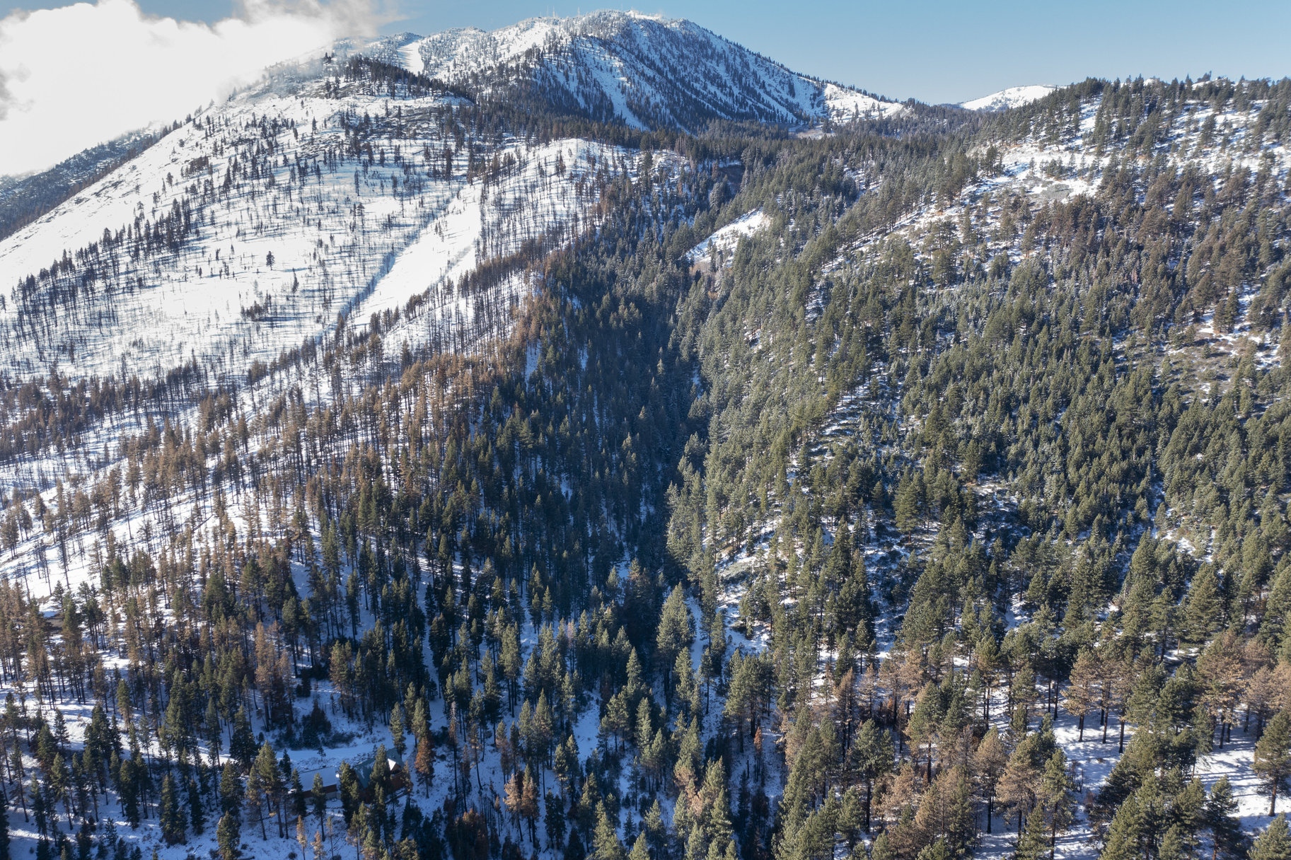  Sierra Sanctuary Lodge on 40 Acres - 物件實景