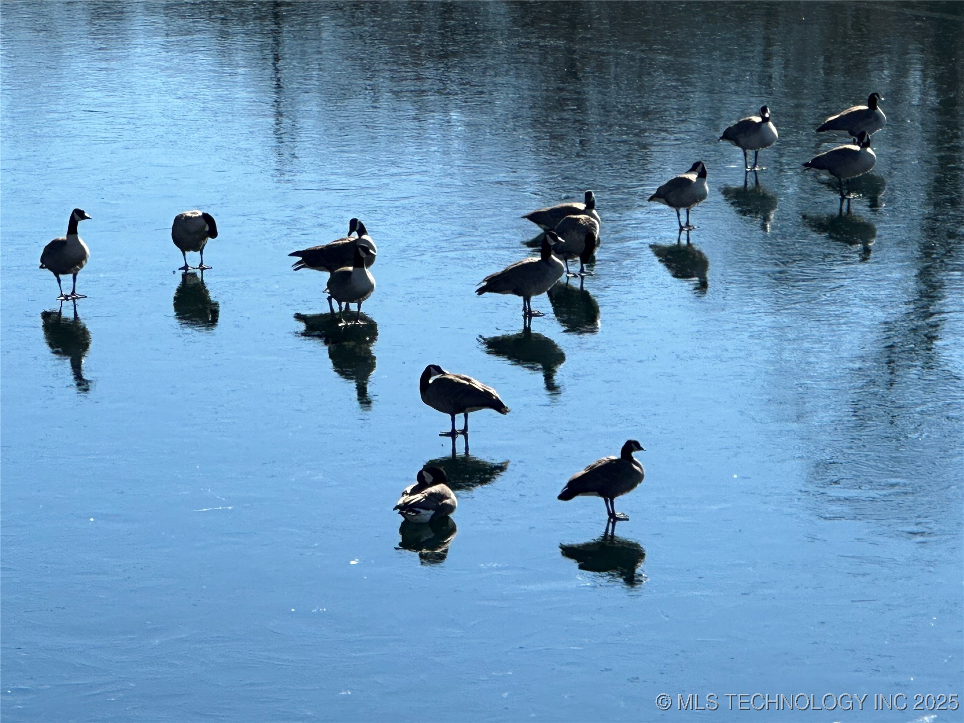 Sapulpa, Oklahoma, 74066, United States, 3 Bedrooms Bedrooms, ,3 BathroomsBathrooms,Residential,For Sale,1987728