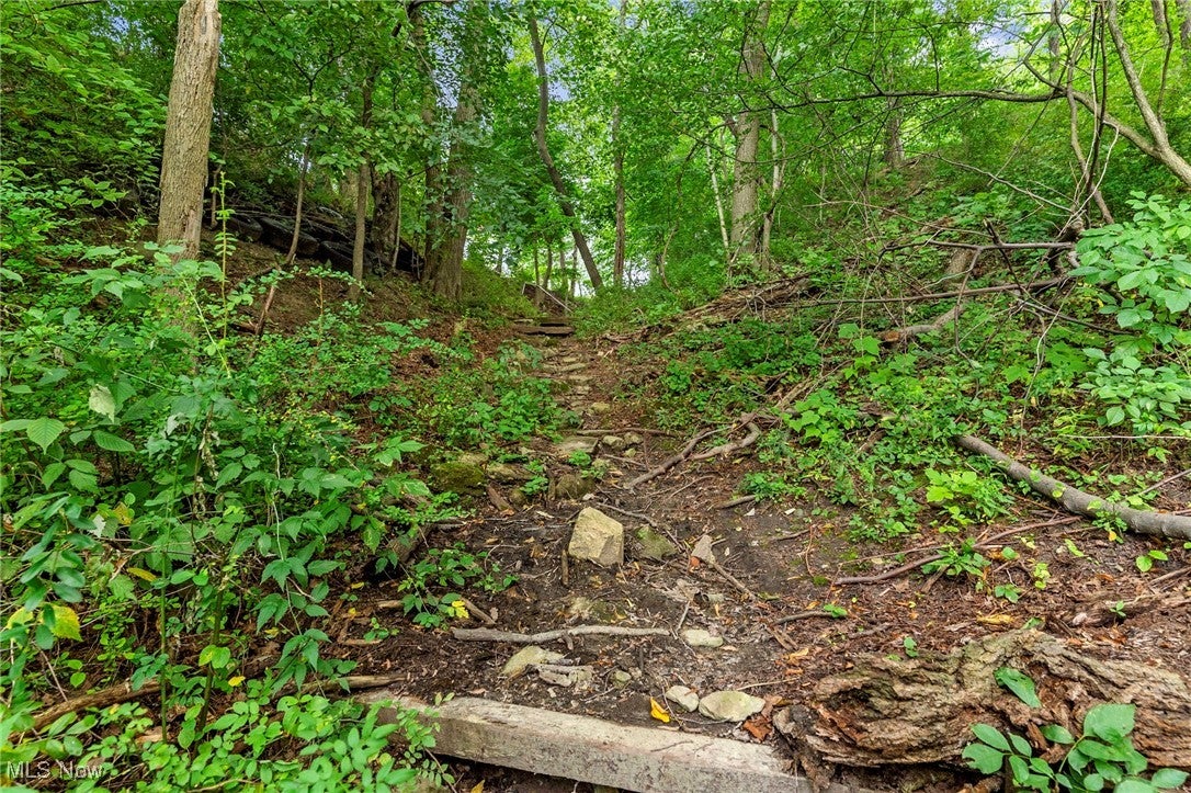 Ashtabula, Ohio, 44004, United States, ,Land,For Sale,1978320