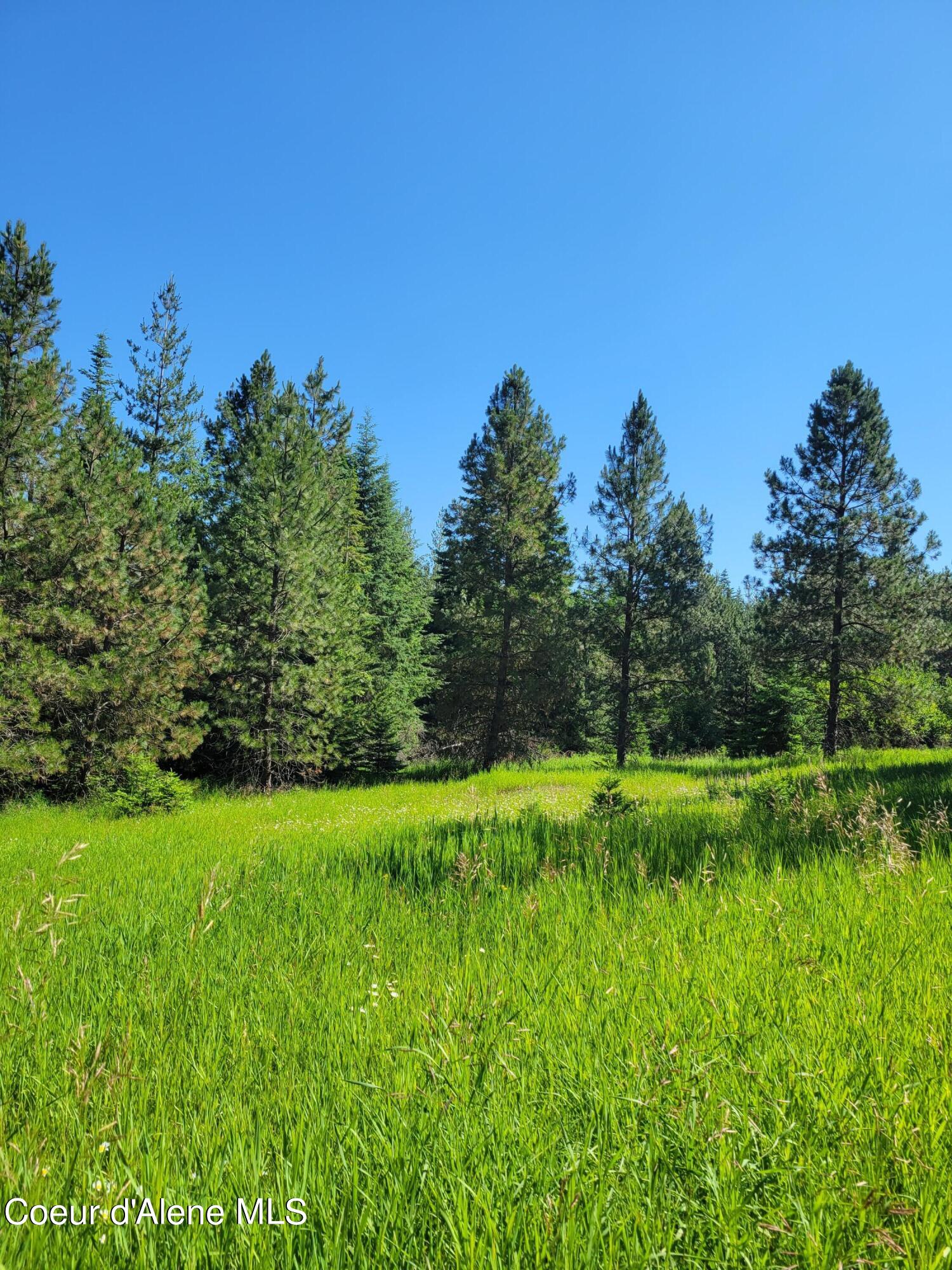 Coeur d'Alene, Idaho, 83814, United States, ,Residential,For Sale,1937421