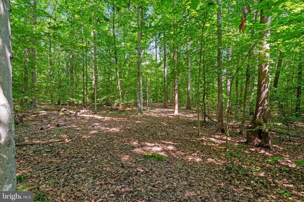 Spotsylvania, Virginia, 22551, United States, 5 Bedrooms Bedrooms, ,4 BathroomsBathrooms,Residential,For Sale,1885804