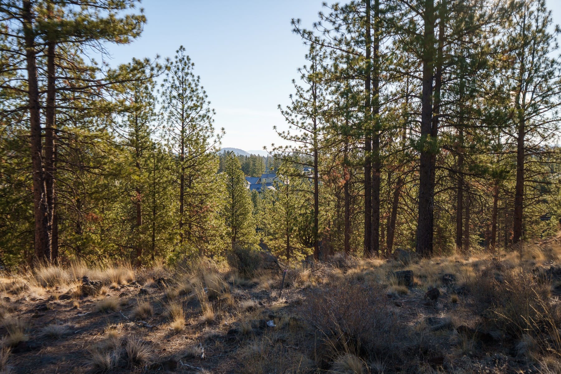  19151 Horizon View Drive Bend, OR 97703 - 物件實景
